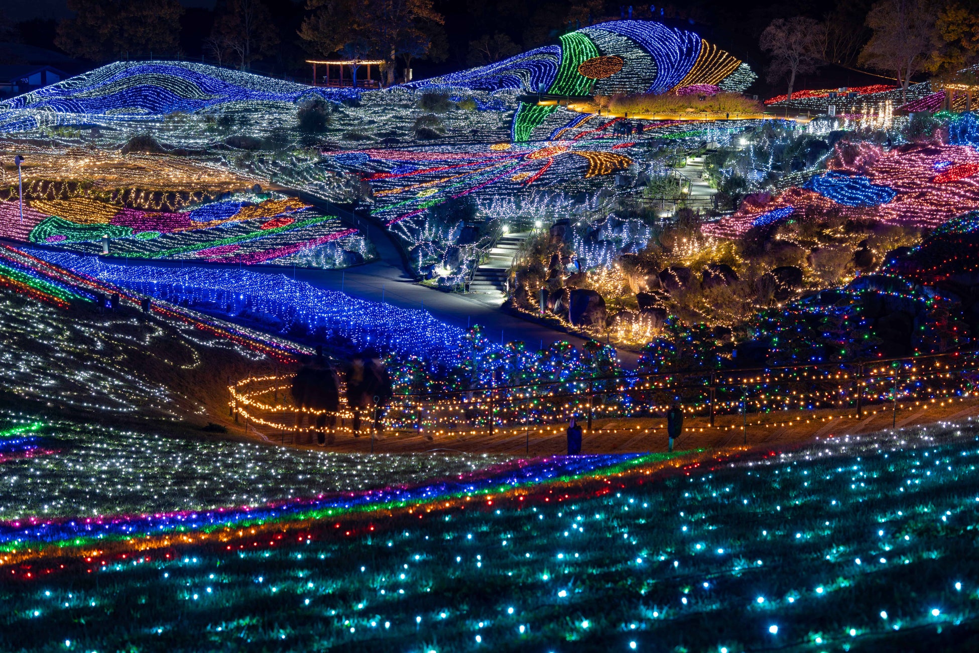 令和7年度年間入園者数が過去2番目の54万人超となりました（国営讃岐まんのう公園）