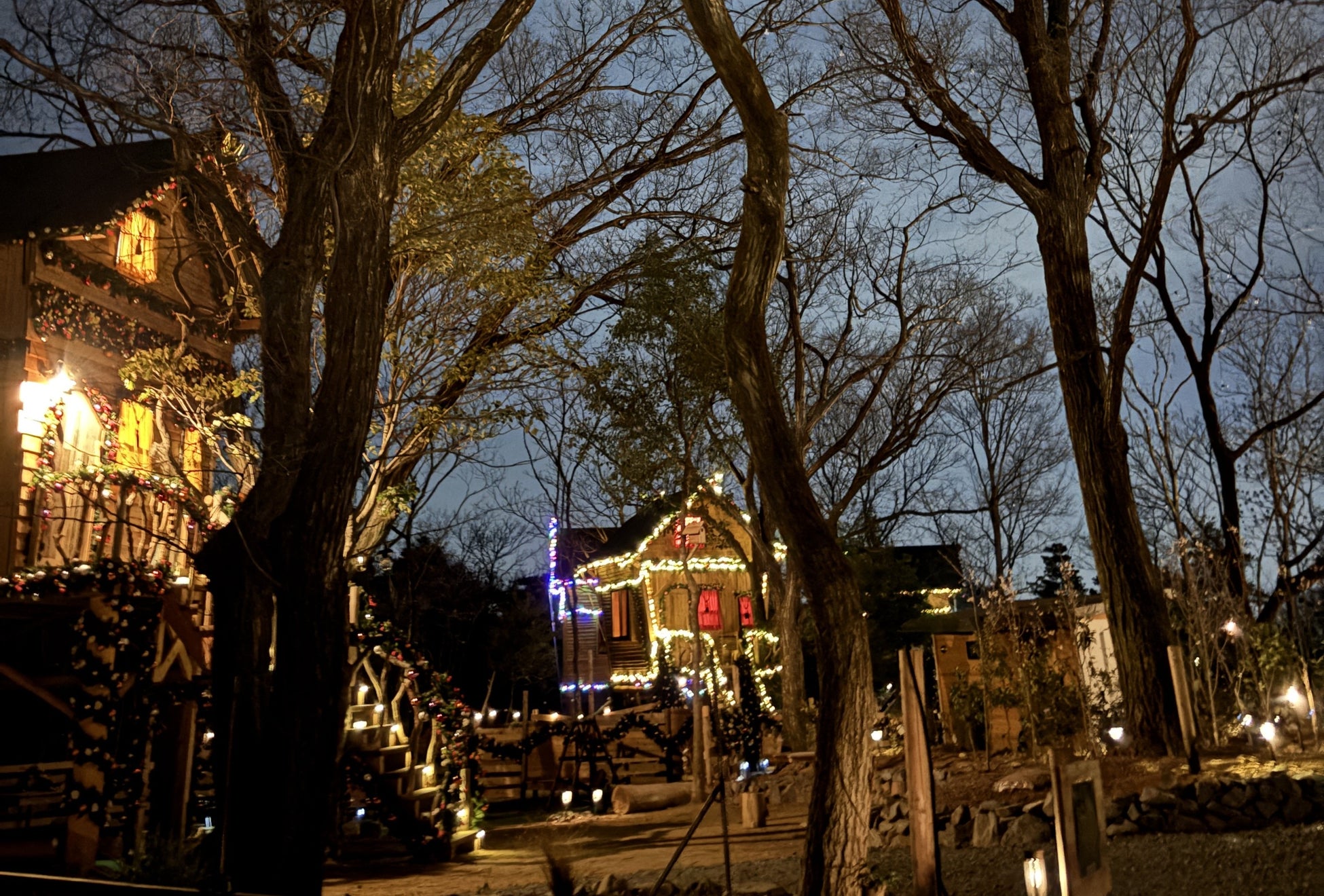 まだ間に合うGW！ツリーハウスに泊まり、BBQで遊び尽くす「TREE HOTEL NIKKA菰野」—一日中楽しめる体験型リゾートへ
