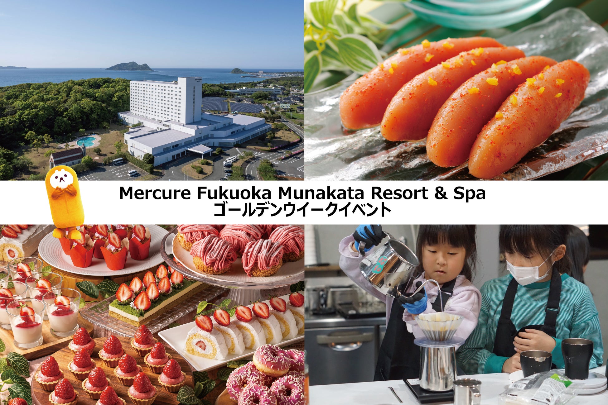 ネモフィラ 見頃（７分咲き）になりました（国営ひたち海浜公園）