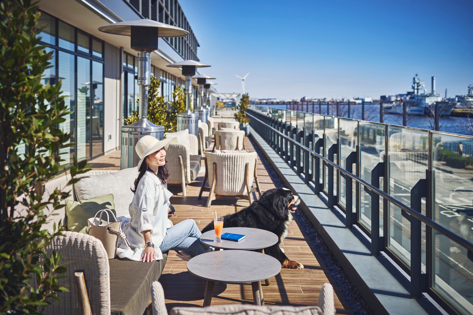 お客様の声にお応えして、抹茶がついに定番化！世界が恋する“造形美×抹茶”でインバウンド加速　紗々＜芳醇抹茶＞　4月21日(火) より全国で発売