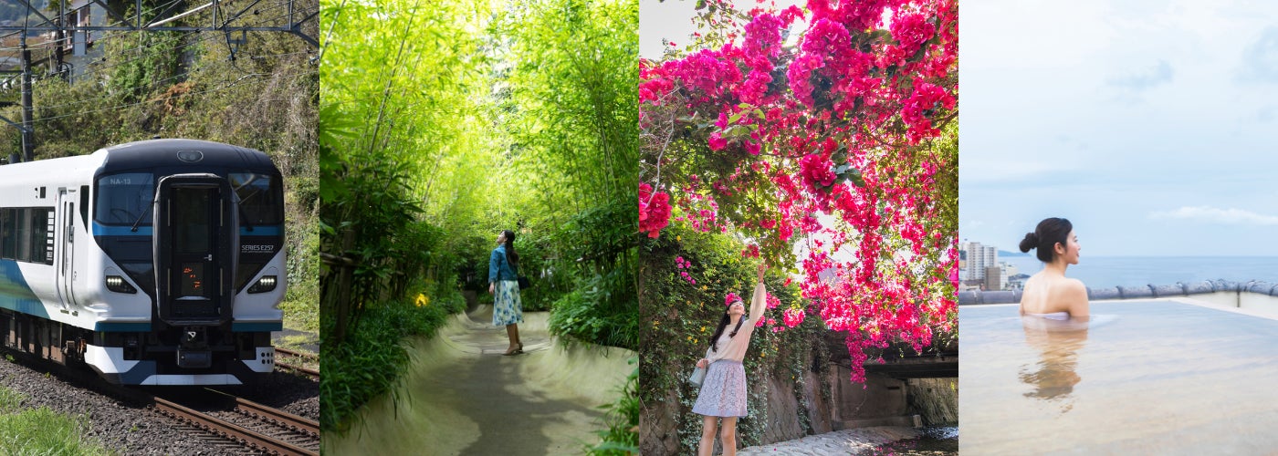 【シェラトン都ホテル大阪】抹茶×マンゴー×ベリーが奏でる甘美なハーモニー「初夏のスイーツ＆パン」販売