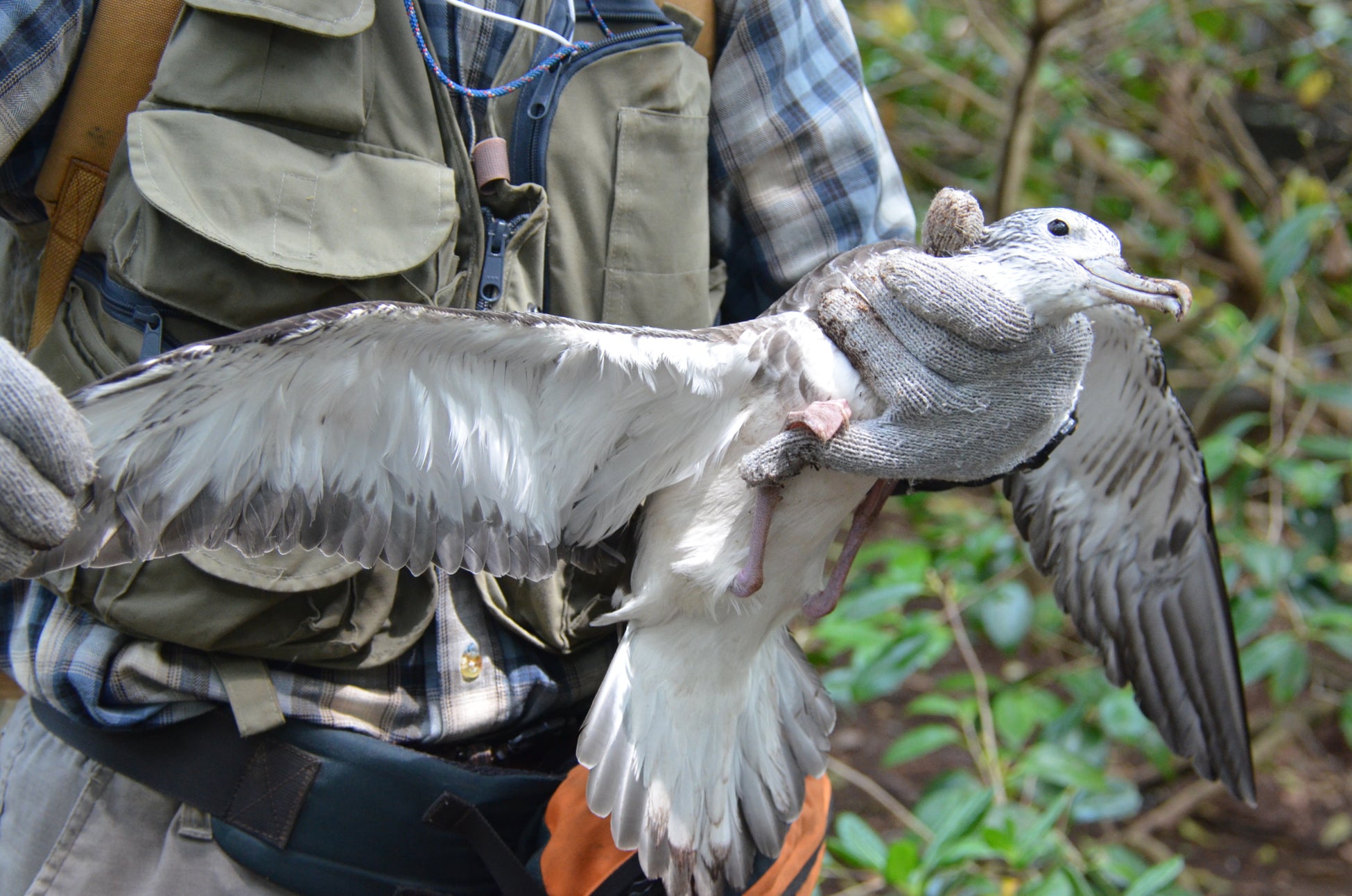 アートホテル鹿島セントラル ゴールデンウイーク限定ファミリービュッフェ開催（5/2～5/6）