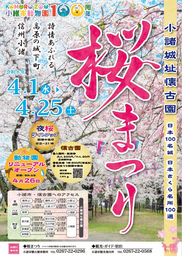 “日本さくら名所100選”で春を満喫―「小諸市桜まつり」開催！小諸城址懐古園で夜桜ライトアップも
