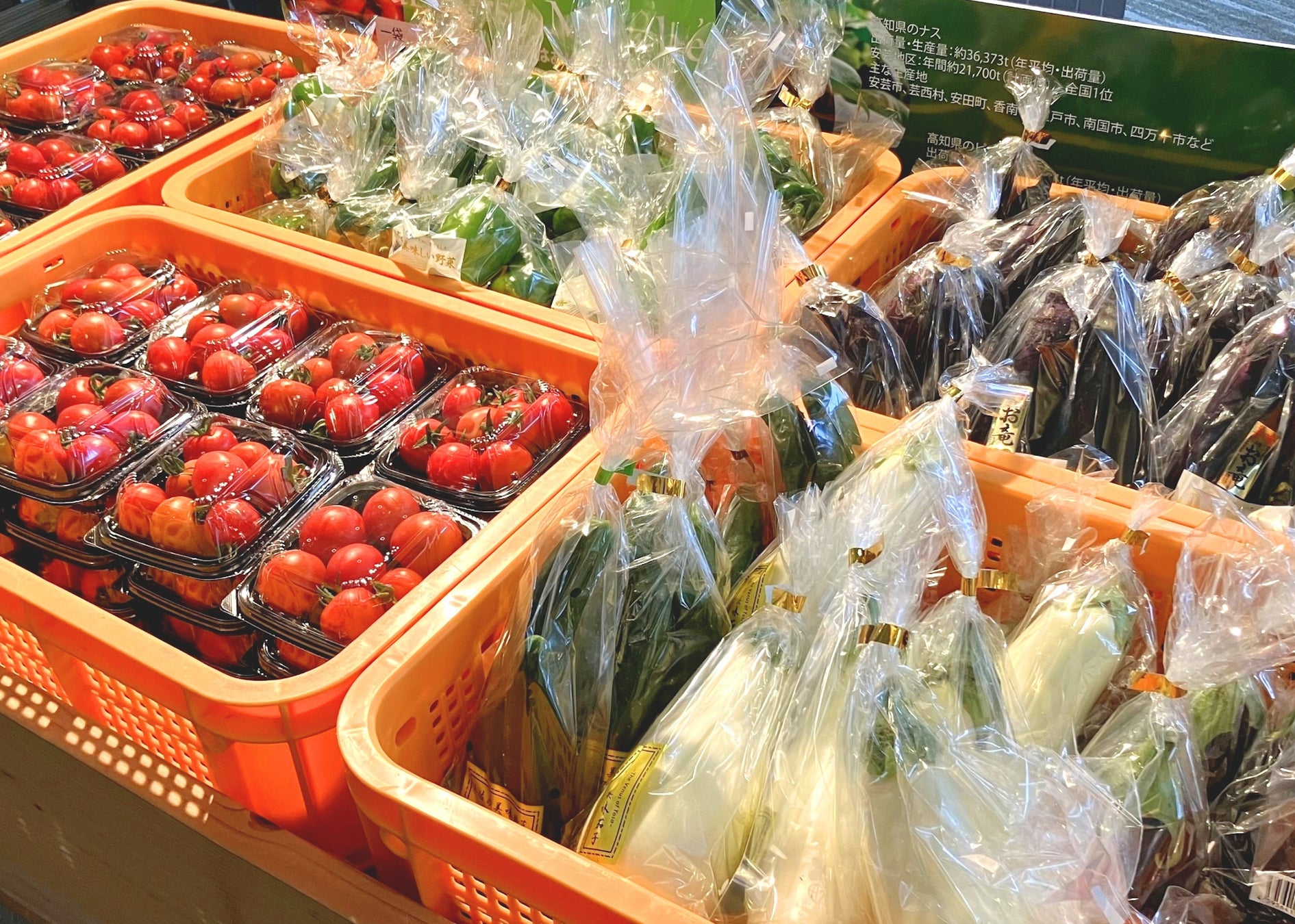 ゴールデンウィークからスタート！ホテルロビーが地元市場に。高知・芸西村産の新鮮野菜を100円で楽しむ「良心市」【メルキュール高知土佐リゾート&スパ】