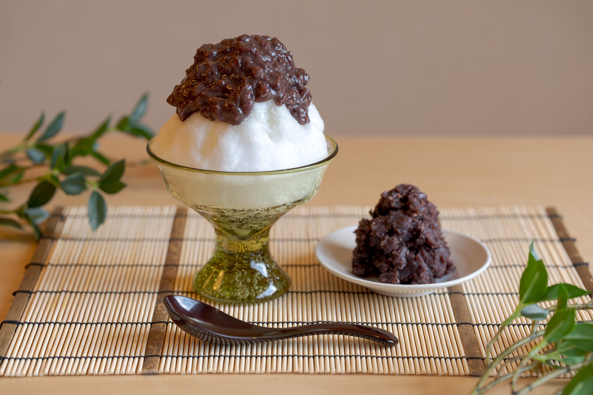 全24口が約2分で申込満了、栃木県・日光東照宮近くの“離れ付き和風ヴィラ”に投資家殺到|別荘投資「COCO VILLA Owners」