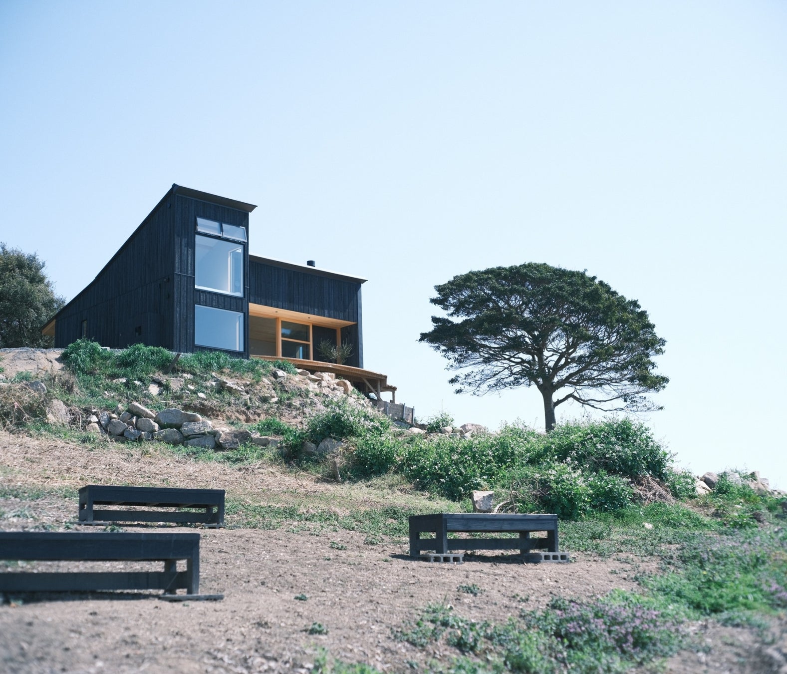 合同会社Tohitoと合同会社オルゴールが業務提携