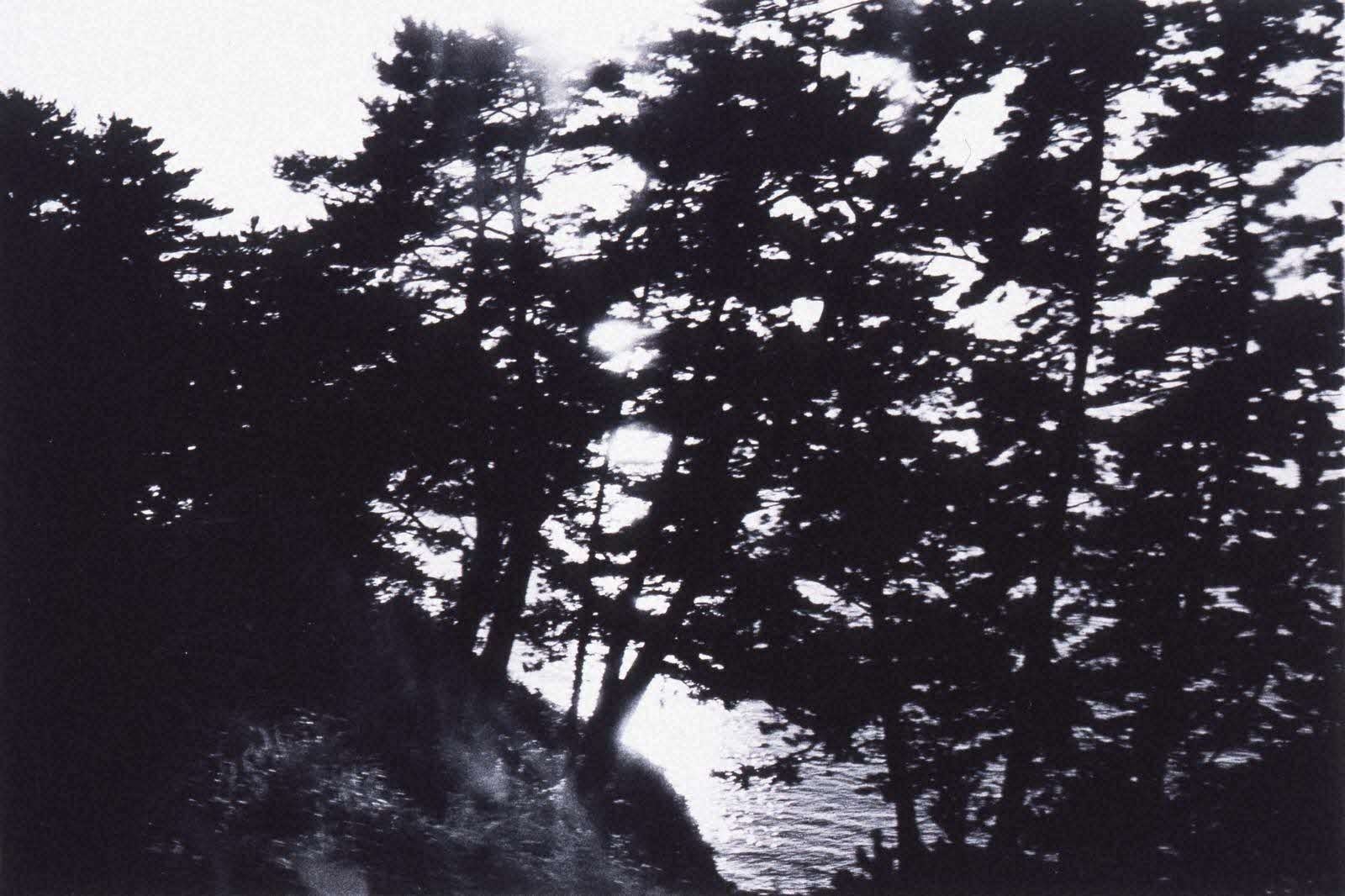 【島根県立美術館】コレクション展「山陰と写真」開催のお知らせ