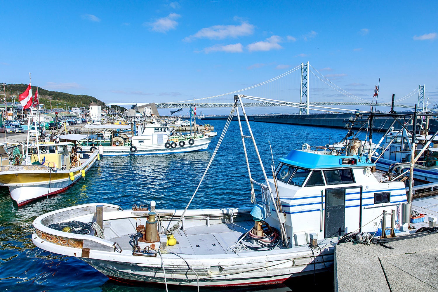 日本発ラグジュアリー・コンブチャメーカーのトラゲット、シンガポールにASEAN事業開拓部門を新設。