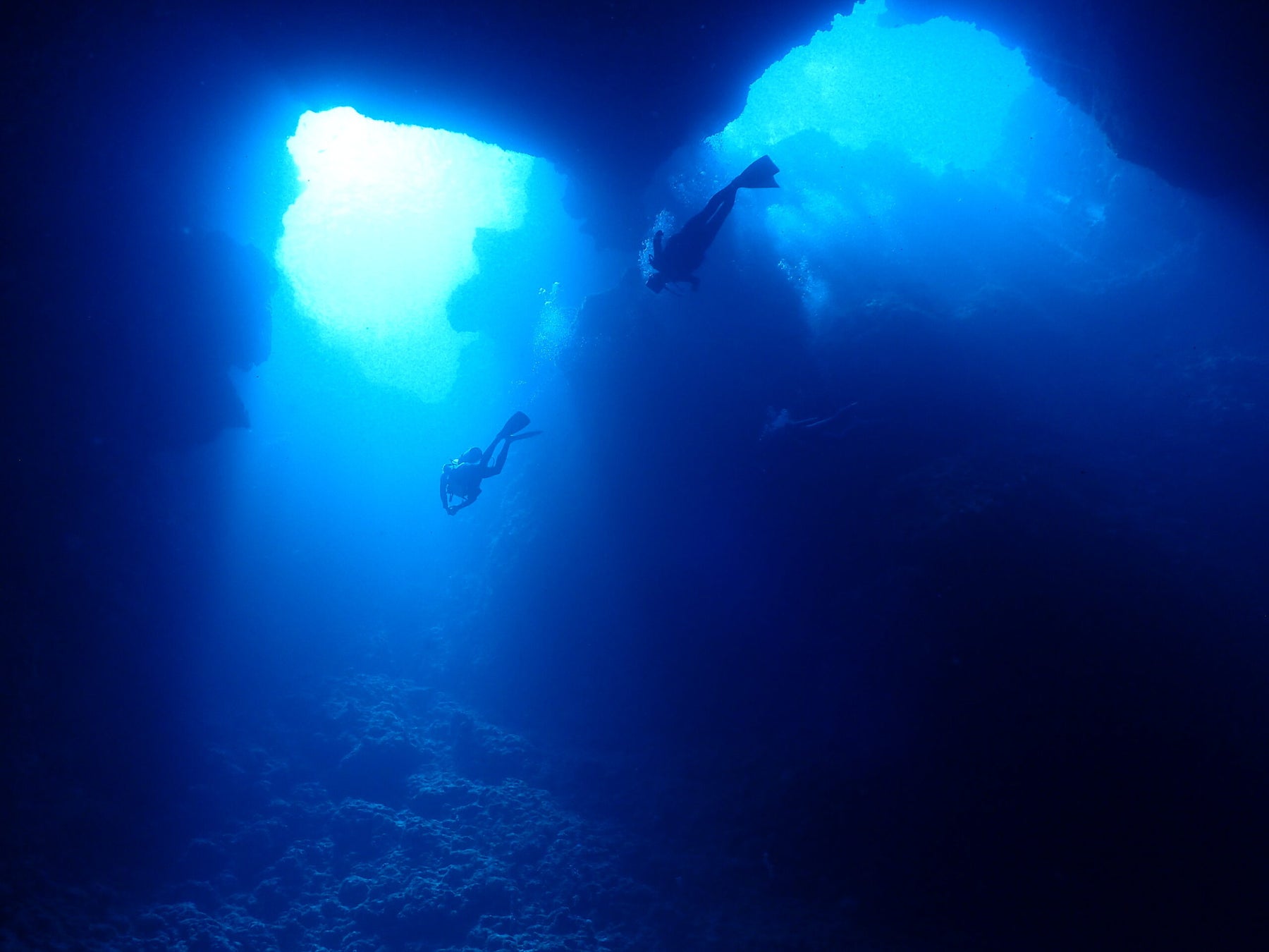 パラオ『マリンダイビング大賞2025』で１位受賞