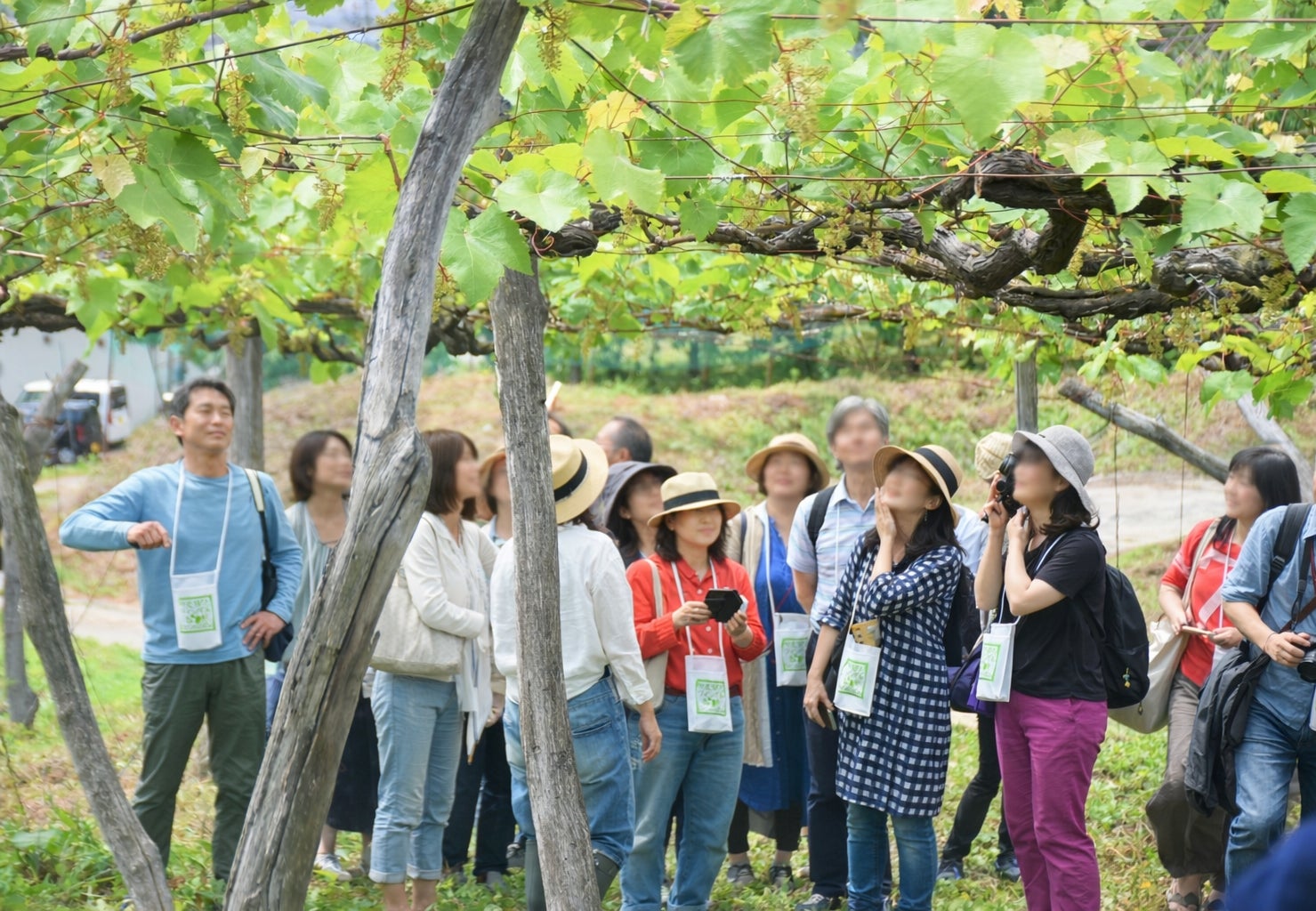 【コートヤード・バイ・マリオット 沖縄リゾート】2026年6月15日(月)、国内初のビーチリゾート型コートヤードが沖縄県名護市に開業