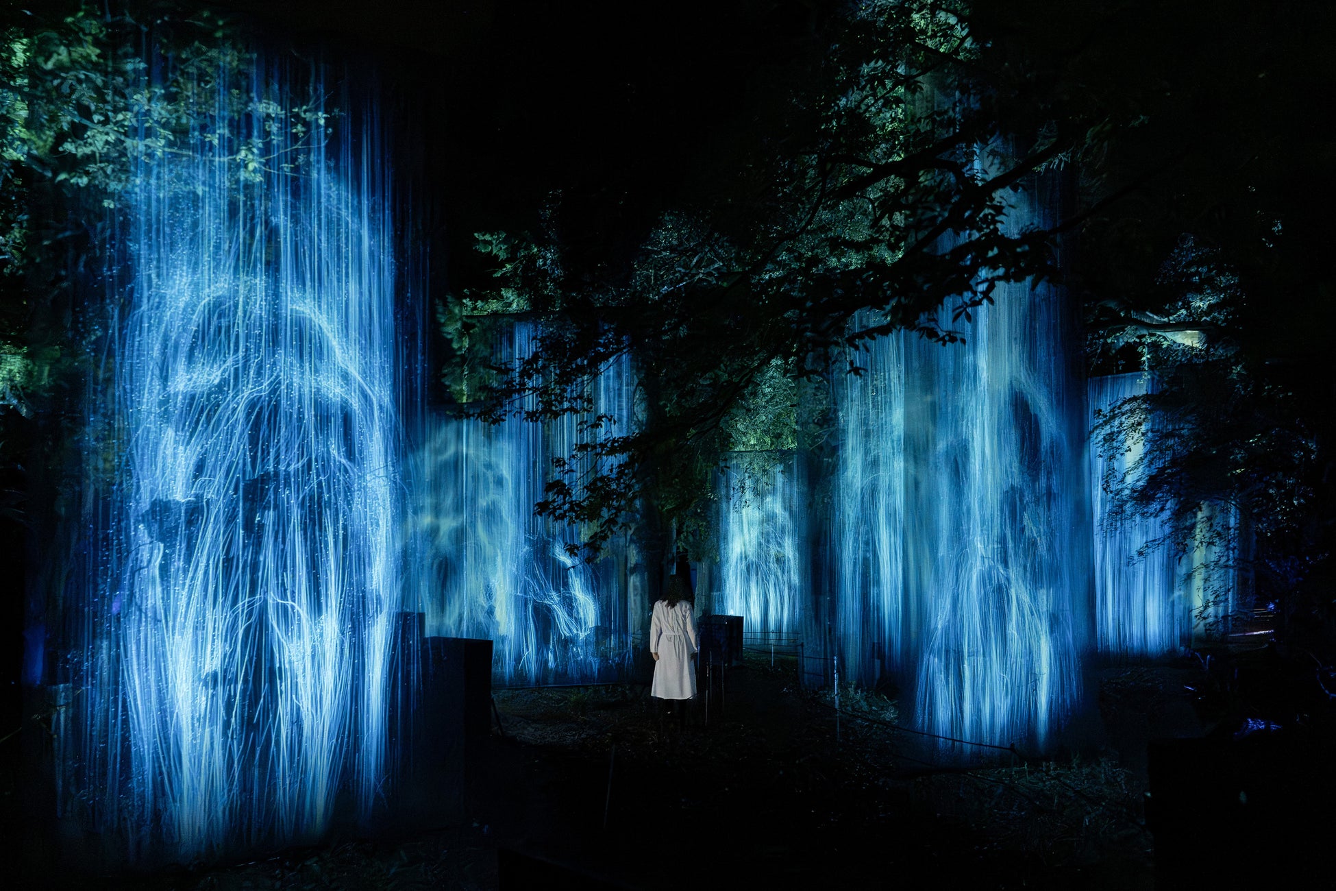 チームラボ、千葉・養老渓谷の夜の野外アート展『チームラボ 養老渓谷』4月17日(金)オープン。長い年月をかけて自然が作り上げた渓谷が、人々の存在で変化するアート空間に。作品群の全貌を公開。