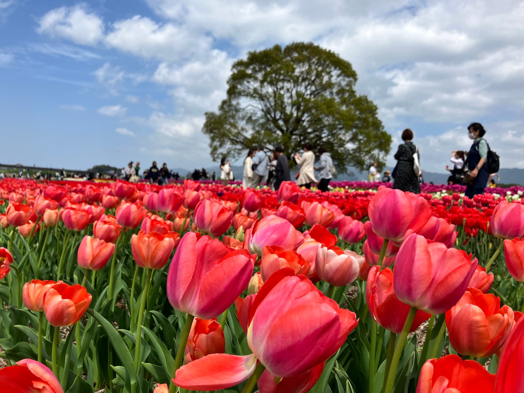 JAXA角田宇宙センター協力、宮城蔵王のリゾートで宇宙を学ぶ「手作りロケット打上げ体験」をゴールデンウィークに開催【メルキュール宮城蔵王リゾート&スパ】