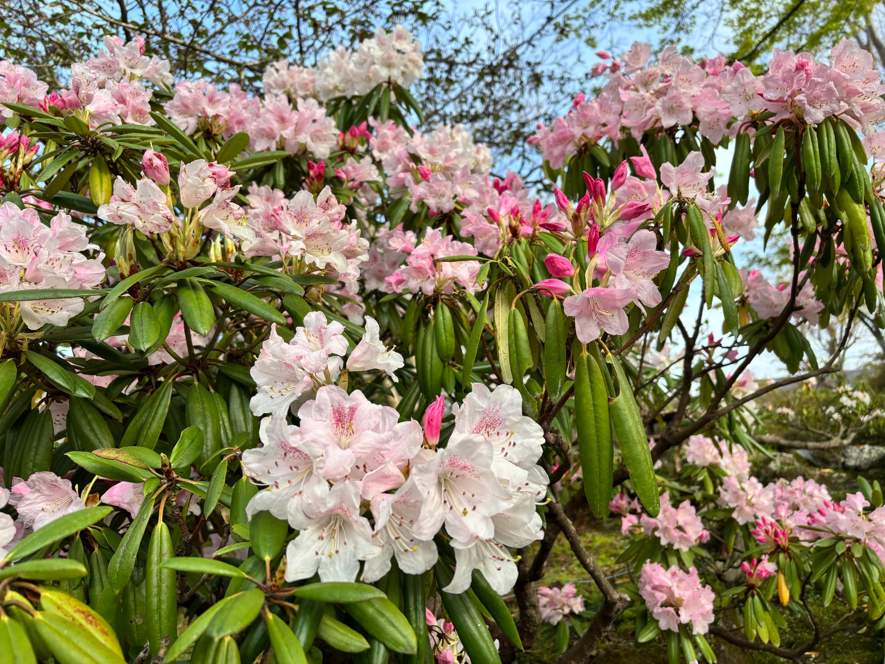 finetrack（ファイントラック）アウトドア用品の修理・撥水復活を体系化した新「サポートプログラム」を始動