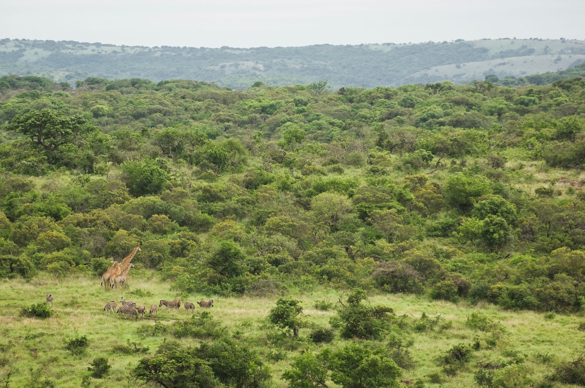サステナブル ホテルブランド「ビヨンド グリーン」アースデイに5周年を迎える