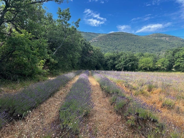 【人生を、ビオディナミする】各回1組限定。南仏プロヴァンス、新月と満月にのみ開かれる3泊4日のリトリート『Ritualtude “MOON & Art de Vivre”』26年5月より開始
