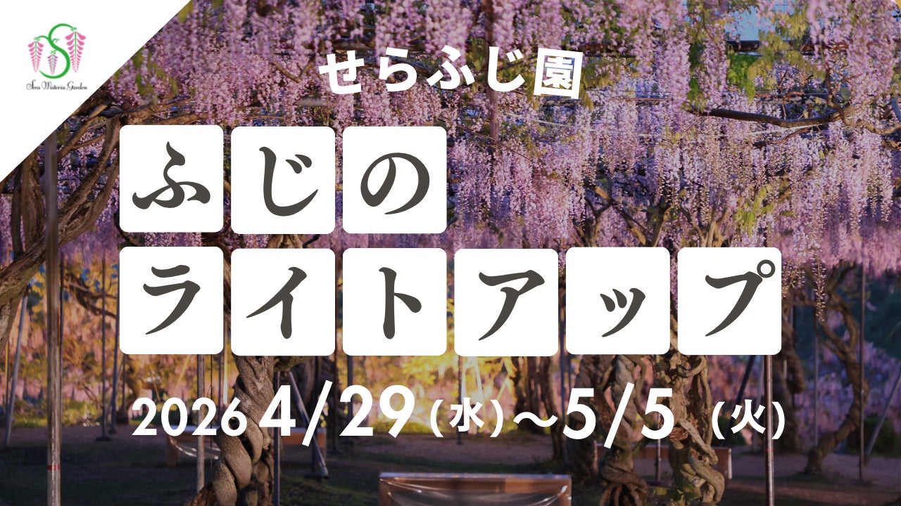 【広島／世羅】ふじのライトアップ「ふじとルピナスまつり」園内をライトアップします　4月29日から5月5日まで《せらふじ園》