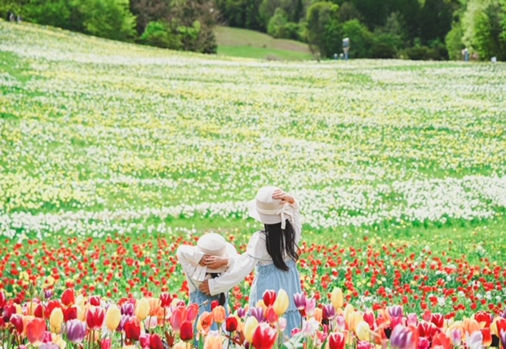 【地元再発見】GWは「近場」で感動体験。100万株のスイセンが咲き誇る「ノルンみなかみフラワーガーデン」が開園。愛犬との空中散歩や宝石探しが楽しめる「山遊び」の新定番。
