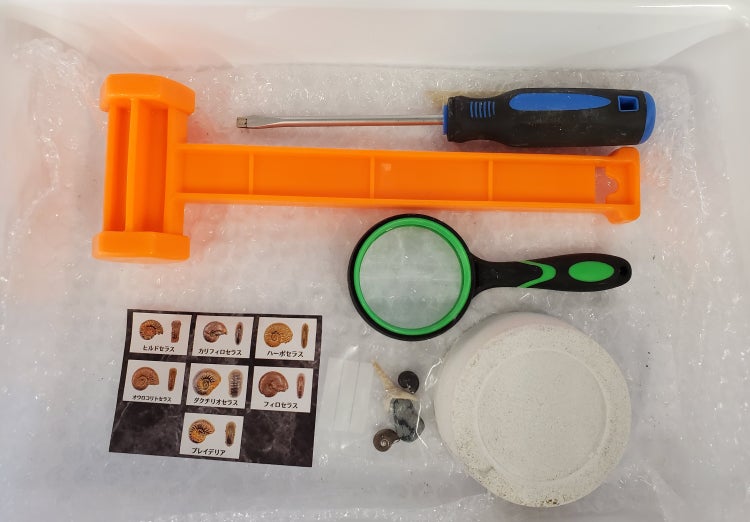 プリンセス・クルーズ、次世代「ボイジャー・クラス」の新造船3隻を発注