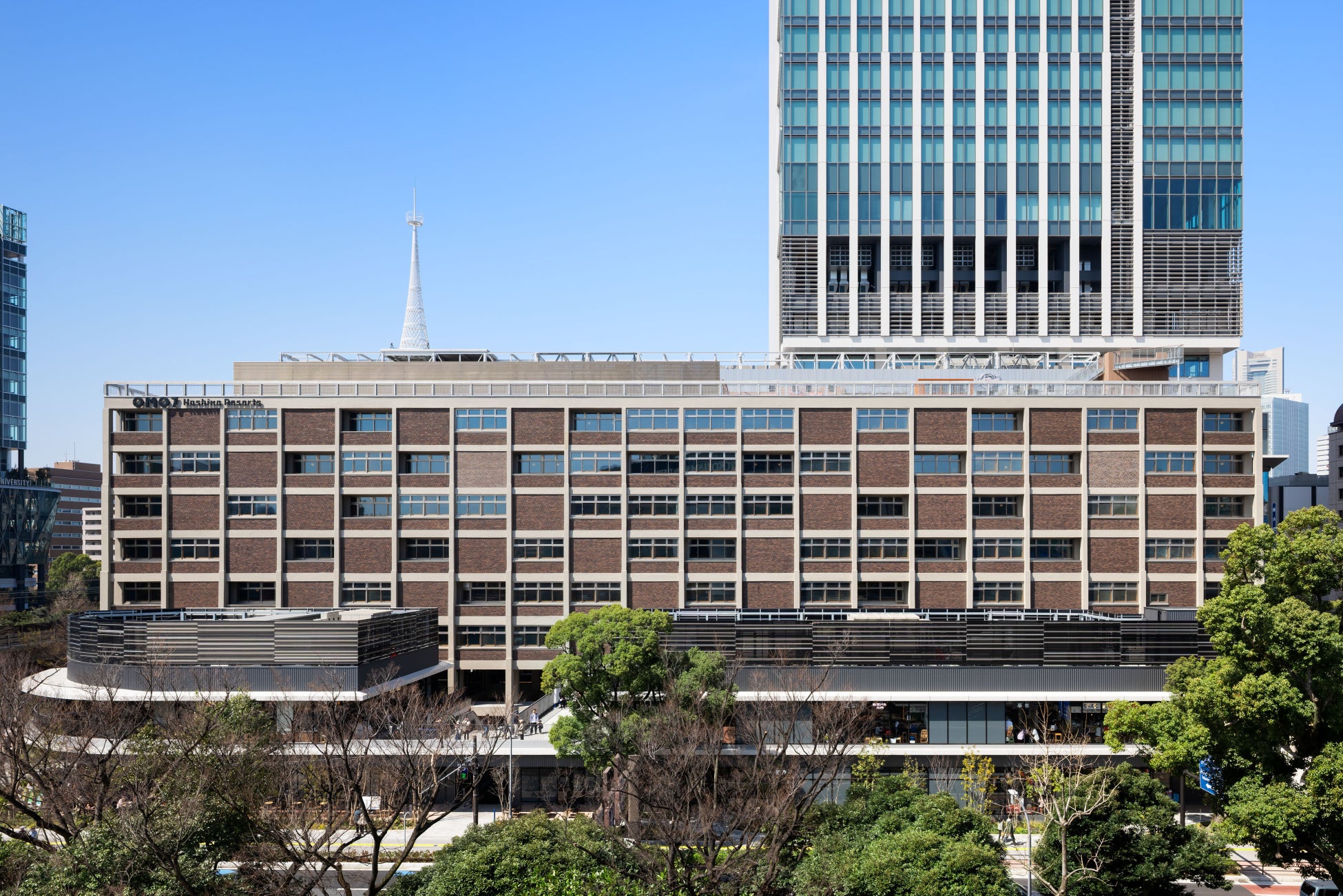 【本物化石入り】削ると“化石”が出てくる発掘体験キットを開発　親子イベント・商業施設向けに提供開始