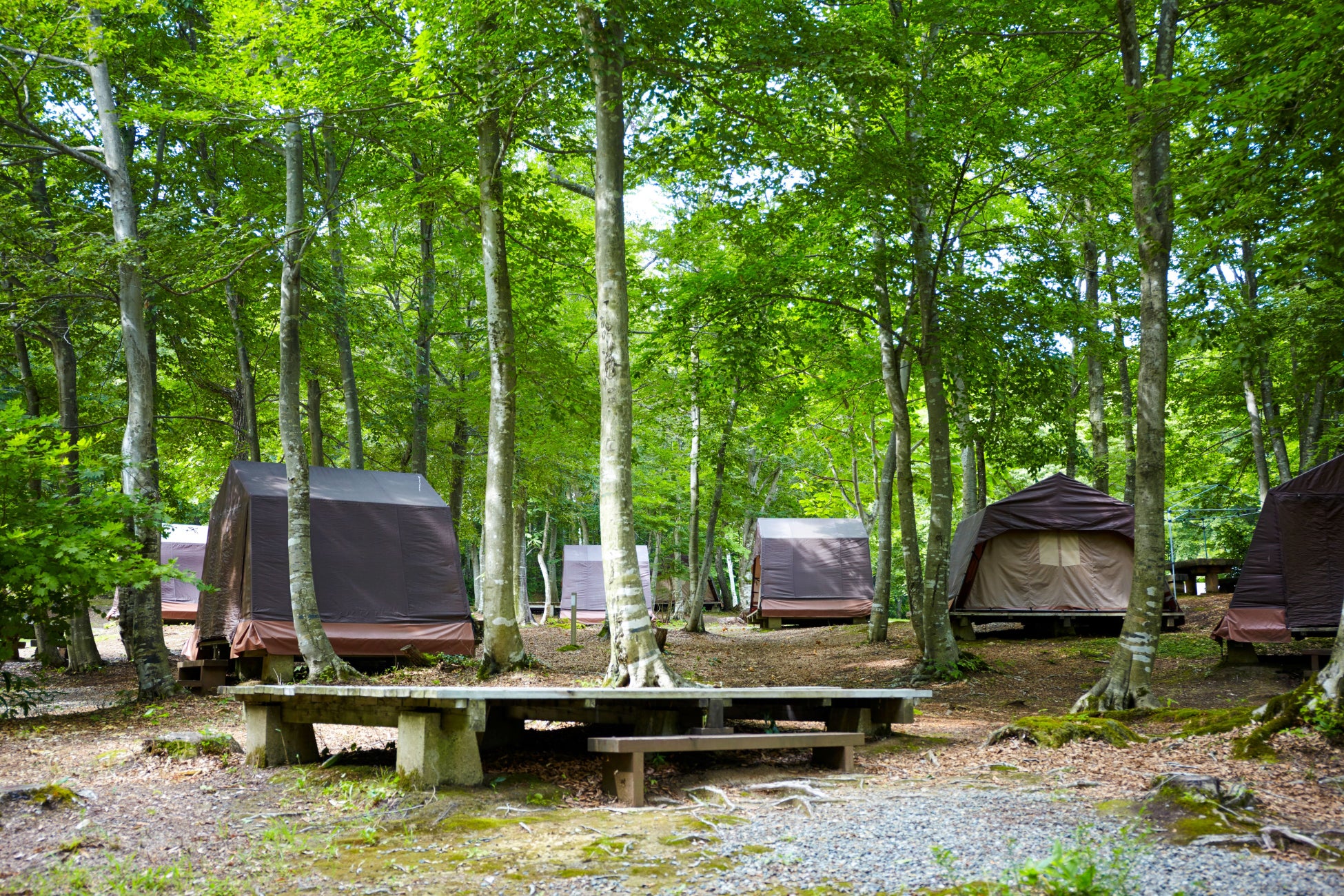 しまなみ海道レンタサイクル、貸出実績が過去最多１７．３万台を記録