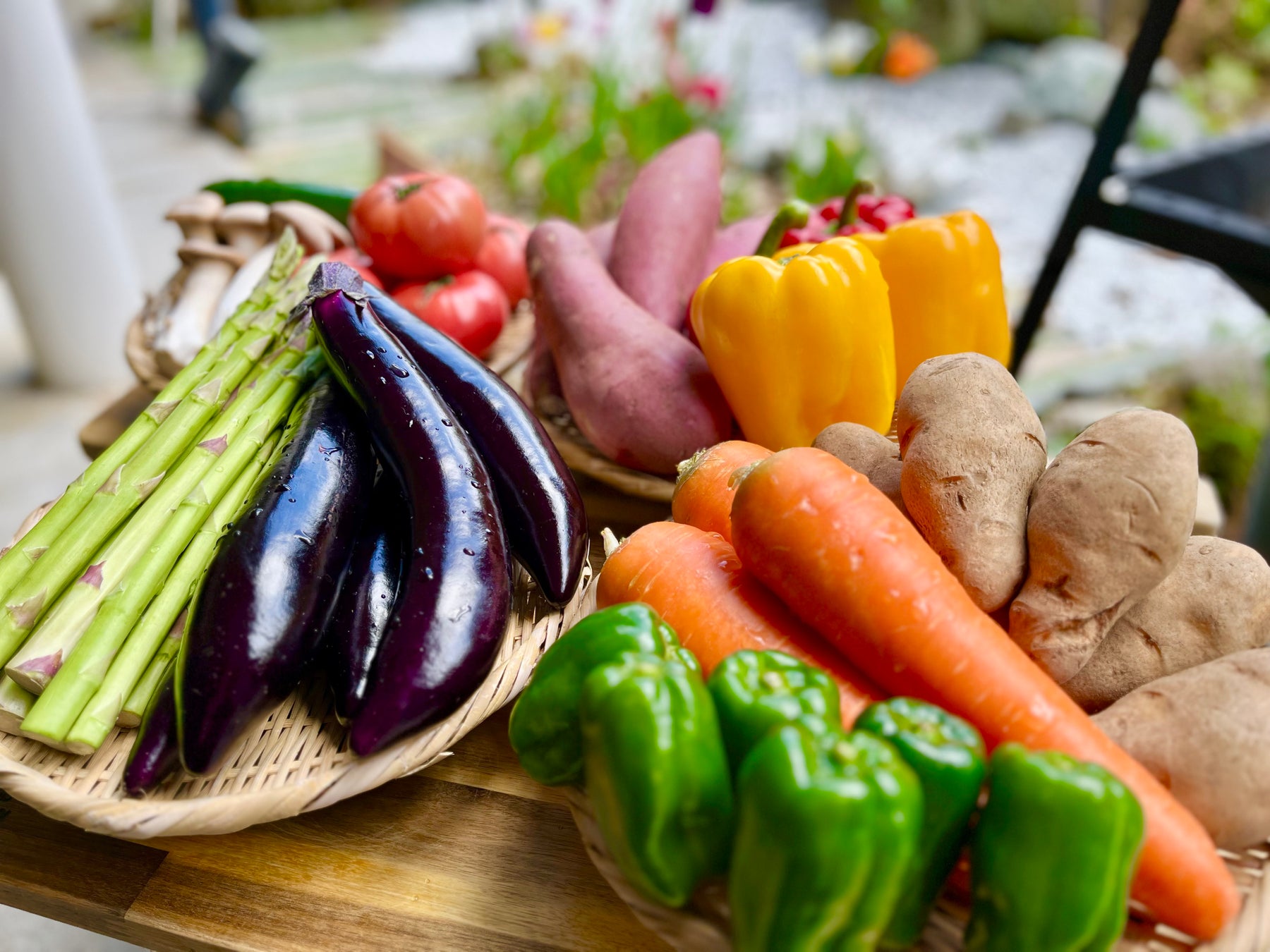 ～「SOLARIA」ブランド大阪初進出～「ソラリア西鉄ホテル大阪本町」2026年12月18日開業