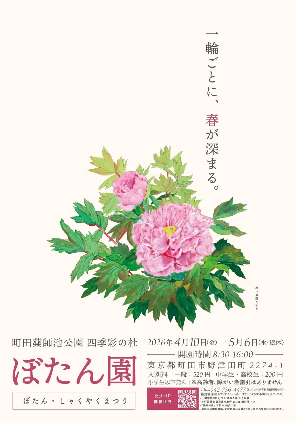 【町田】約330種類のぼたんが咲く名所で音楽×キッチンカーも楽しめる「ぼたん・しゃくやくまつり」