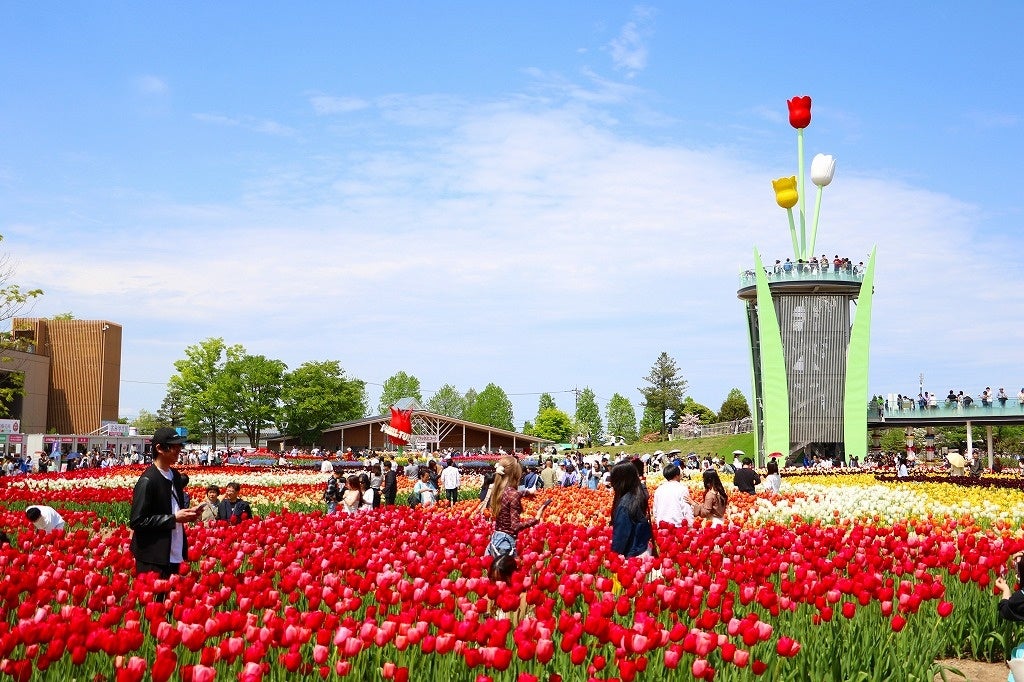 砺波市花と緑と文化の財団・タイムズ２４　富山県砺波市「となみチューリップフェア」の特設駐車場運営に「タイムズパーキング キャラバン」を初導入