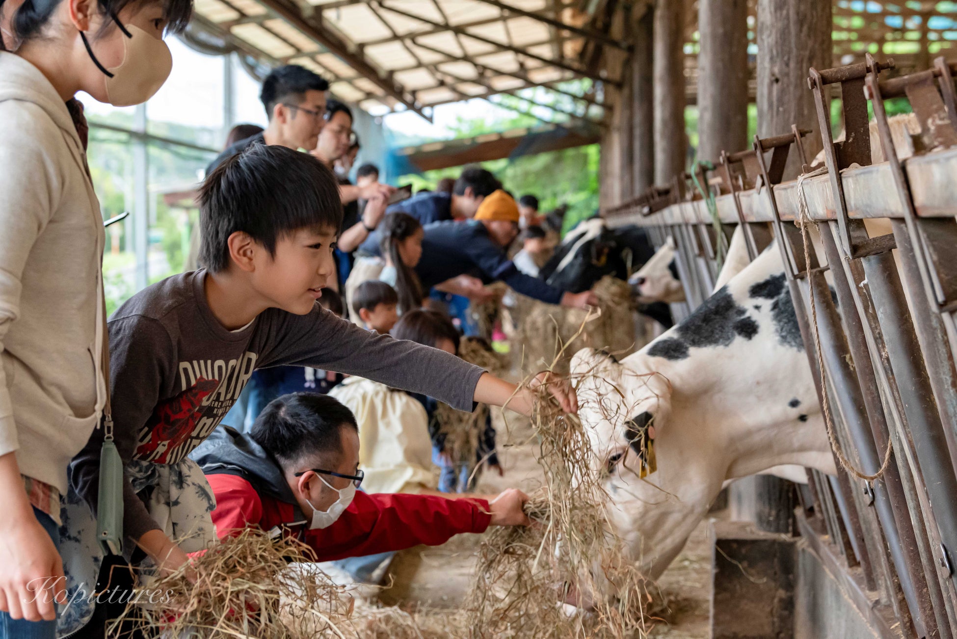 近畿日本ツーリスト×森永乳業×南房総市観光協会 共同企画　酪農の未来を「旅」で考える体験型ツアーを実施