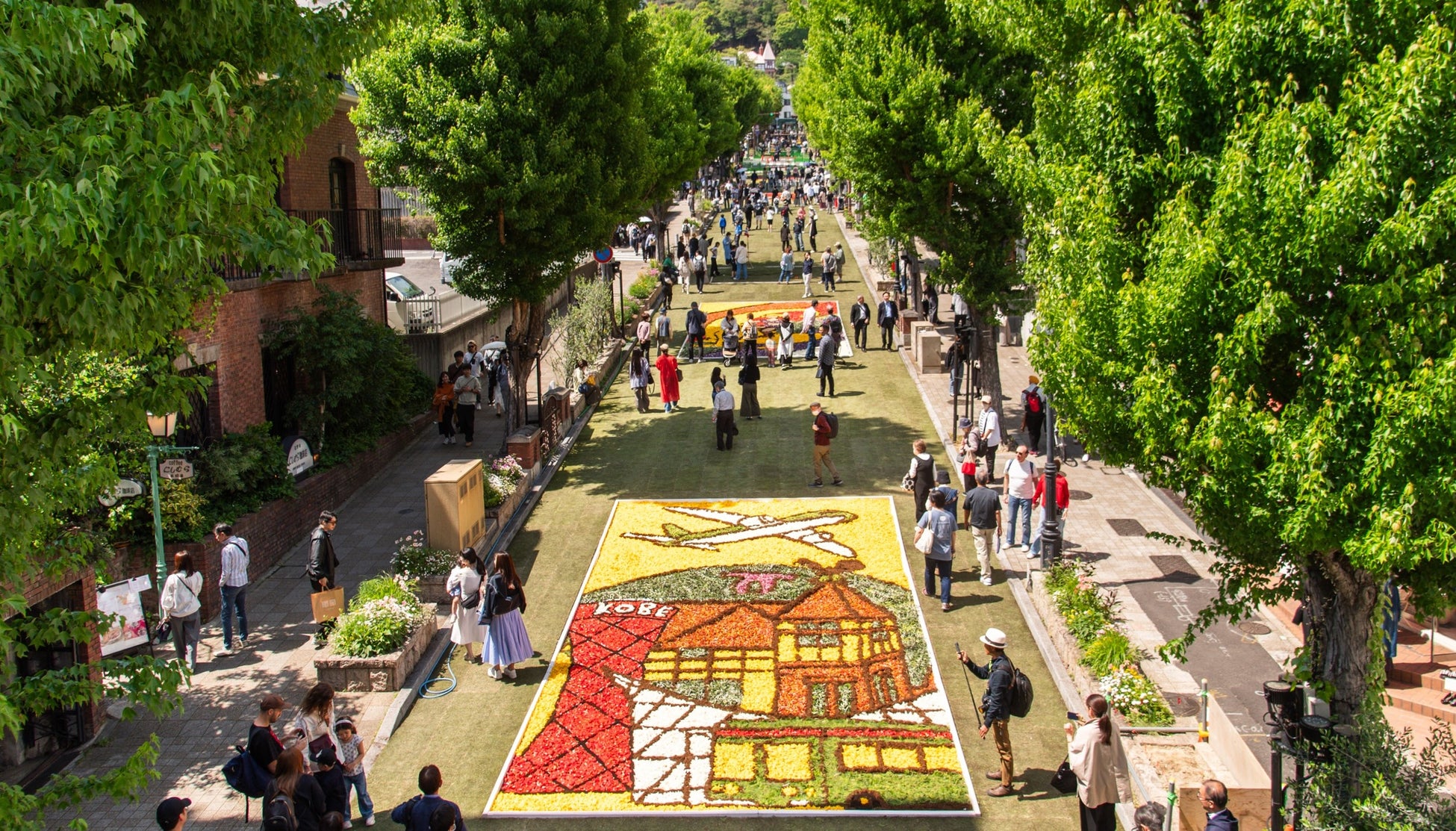 40万人が訪れる神戸の春の風物詩「インフィオラータこうべ2026」各会場の花絵が決定！