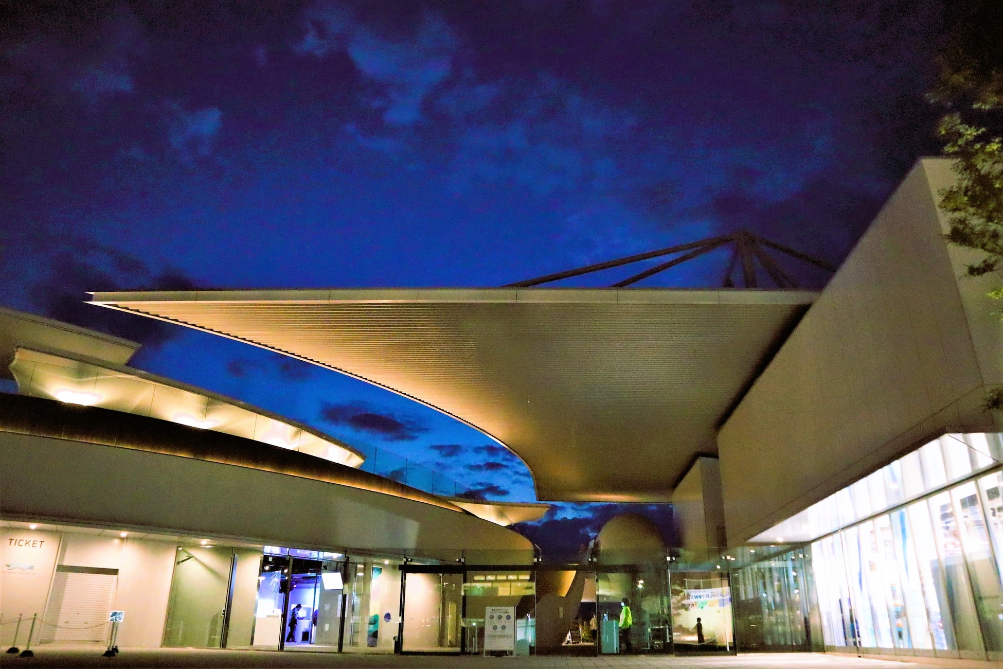 特別なひとときをお過ごし下さい　四国水族館で夜の水族館『Nightscapeこがねいろ2026 G.W.』 を開催