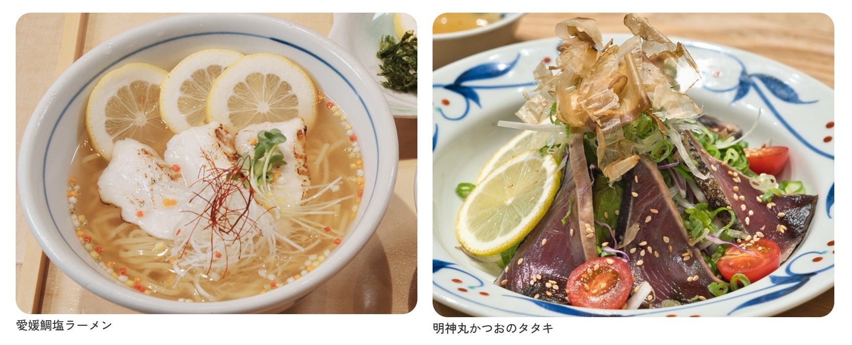 E11 松山自動車道 石鎚山SA（下り線：松山方面）令和9年春にリニューアルオープンします！