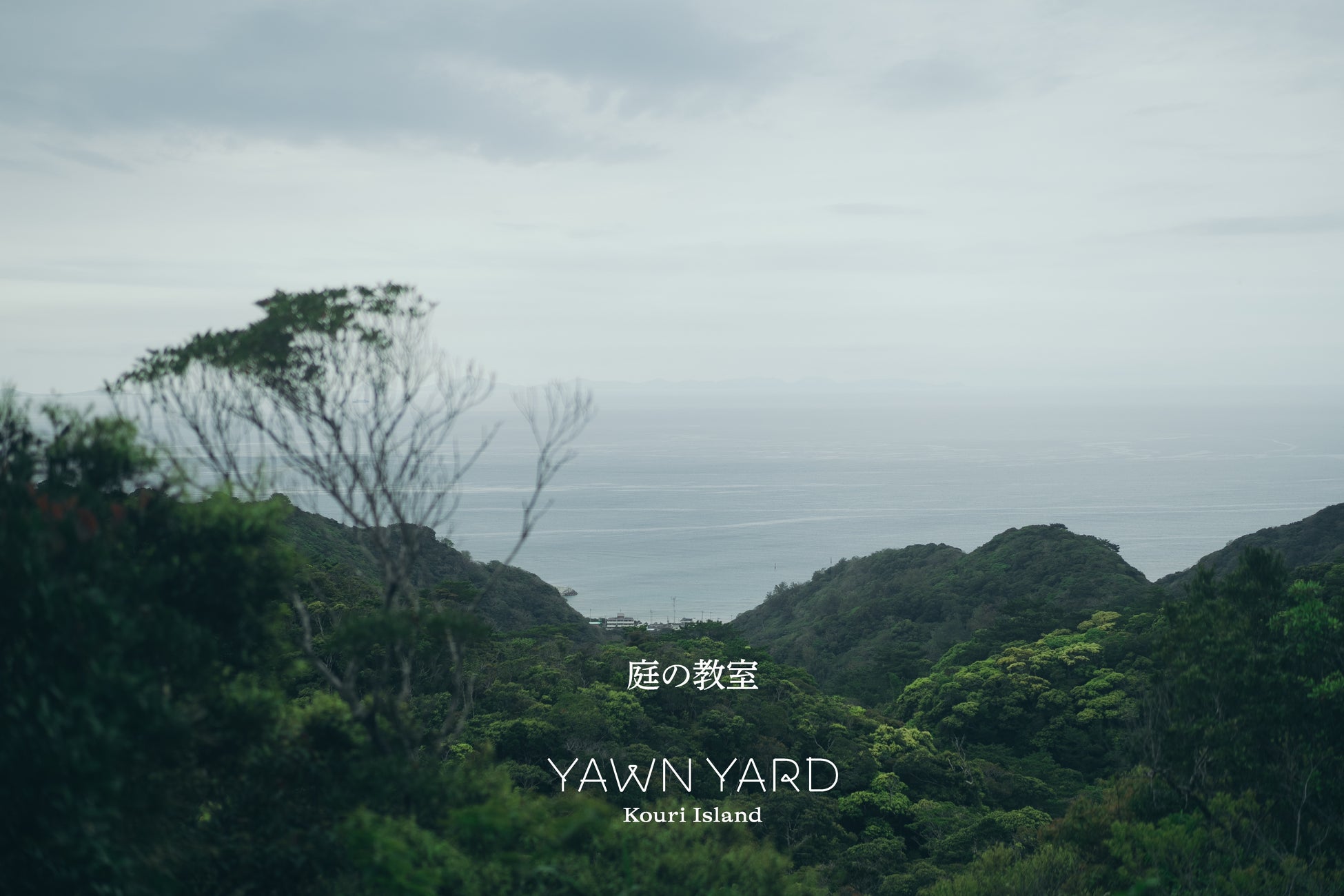 沖縄・やんばるの暮らしに潜る体験を提供。YAWN YARD Kouri Island、新プログラム「庭の教室」を開始