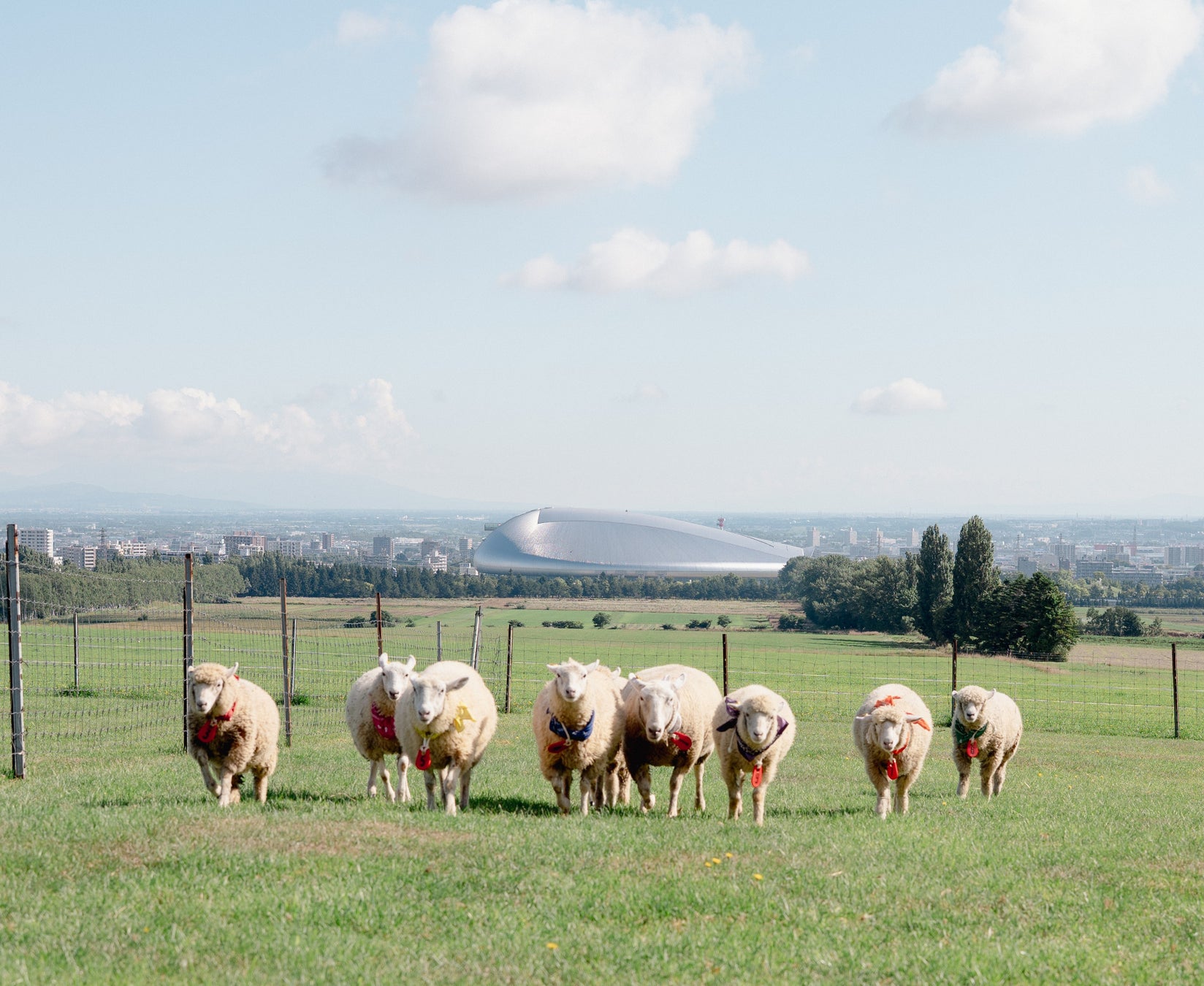 さっぽろ羊ヶ丘展望台クラーク博士像50周年記念「ゴールデンウイークイベント」開催のお知らせ(2026年4月29日～5月10日)