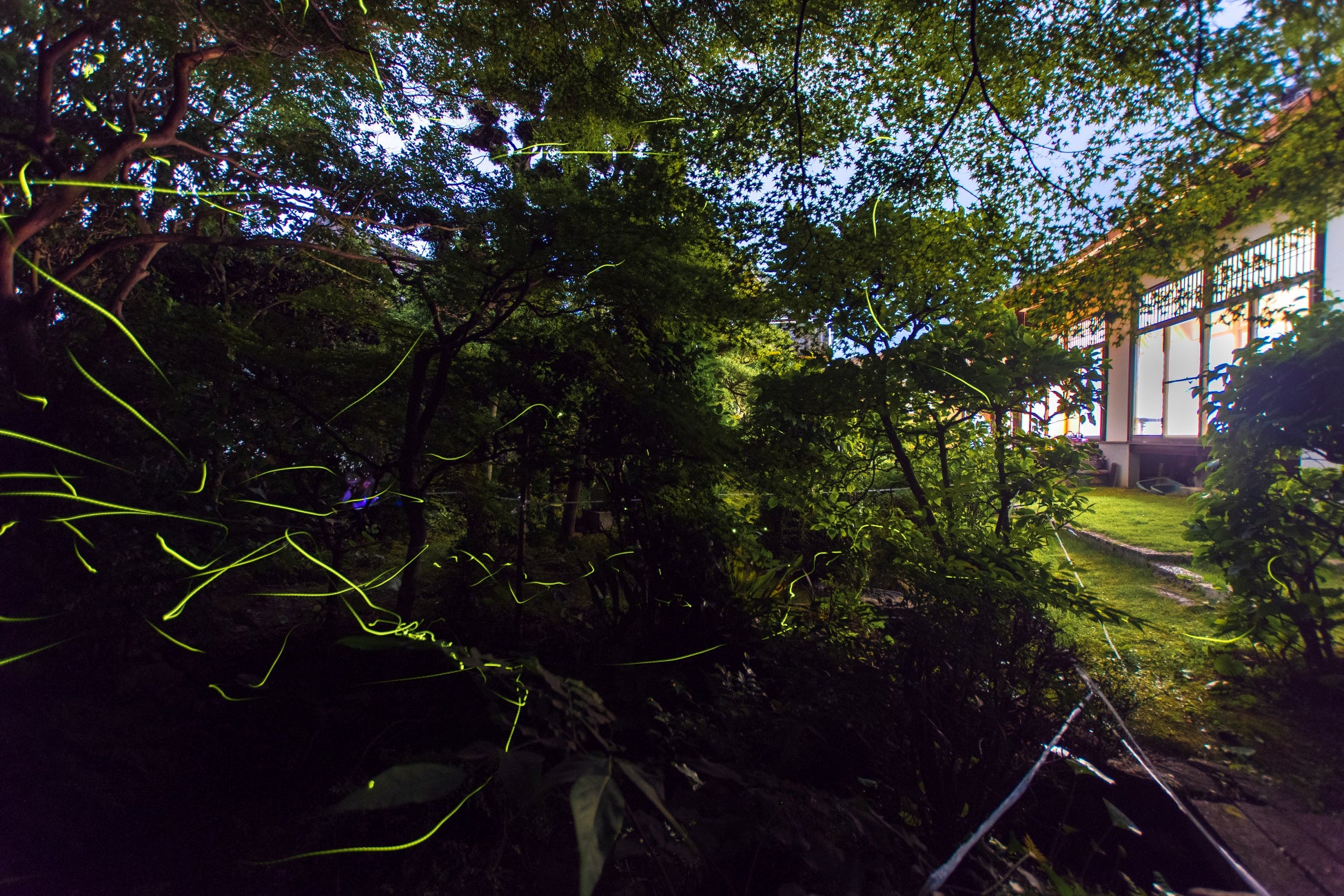 【ホテルオークラ京都 岡崎別邸】3日間限定『天然ホタルの鑑賞会付ディナープラン』を5～6月に販売