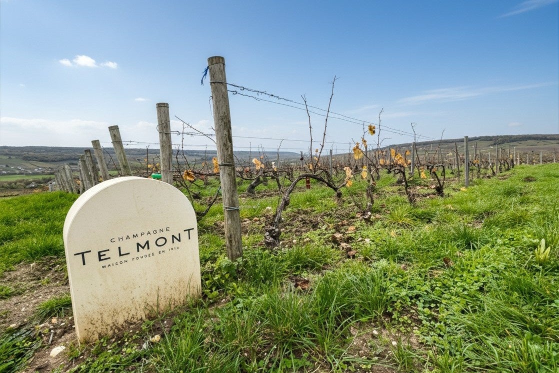 【Cuvée J2 Hôtel Osaka】「ヴィノテーク1985」40年の時間を紐解く一夜テルモン メーカーズディナーを開催 | 2026年7月24日（金）