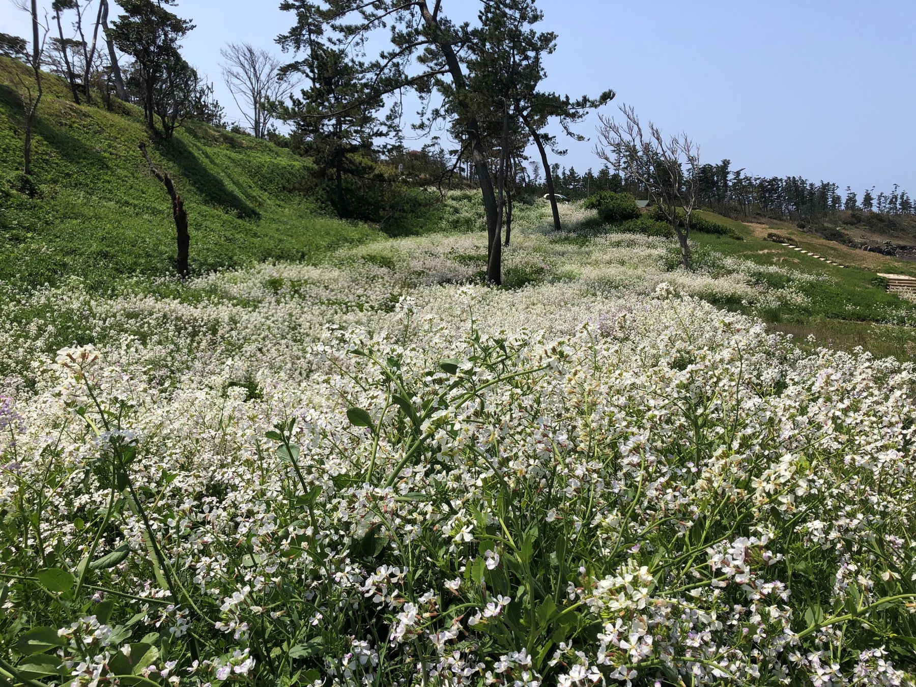 【国内初】ANA Digital Gate、エバー航空とマイレージプログラムの国内提携パートナー契約を締結　-台湾からの訪日客を軸としたインバウンド向けプロモーションを推進！地方創生にも貢献-