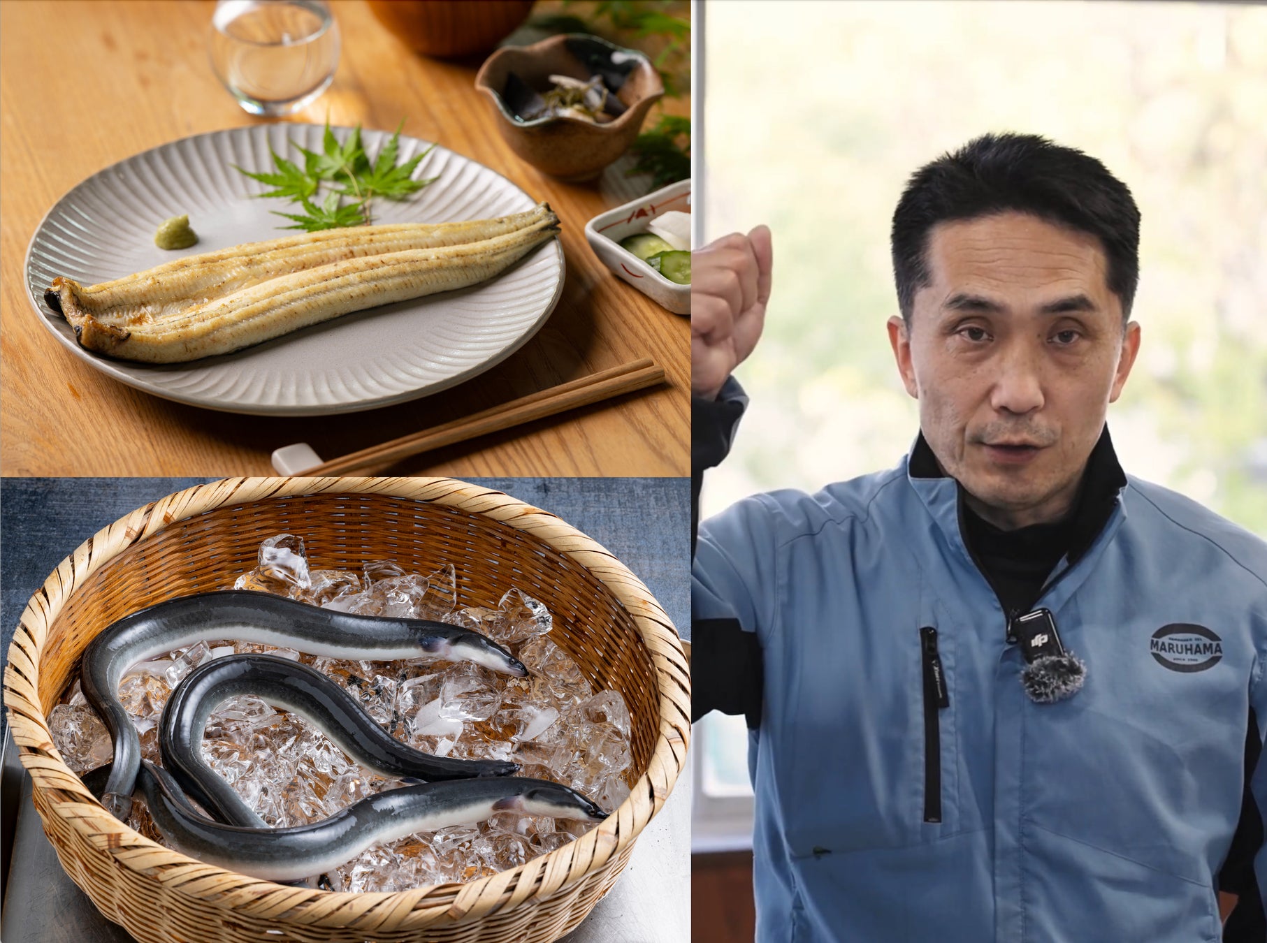 素材甲子園「ichi」静岡大会、第2弾参画生産者を発表