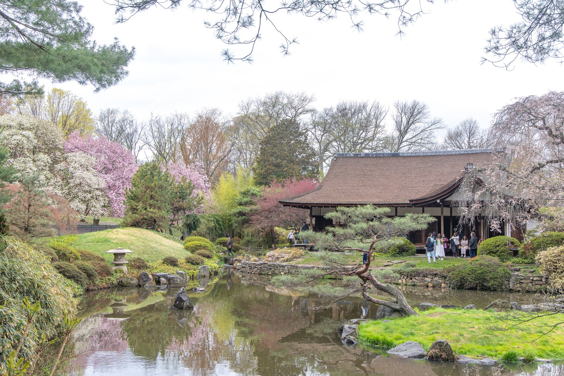 ナチュラル・フィリー：庭園の都フィラデルフィア、日本の文化が息づく街