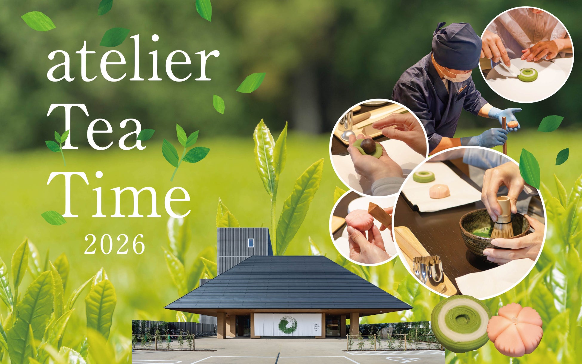 2025年雲海発生率60.2%！長野県で雲海に出会う「SORA terrace」4月25日（土）にグリーンシーズンの営業を開始！