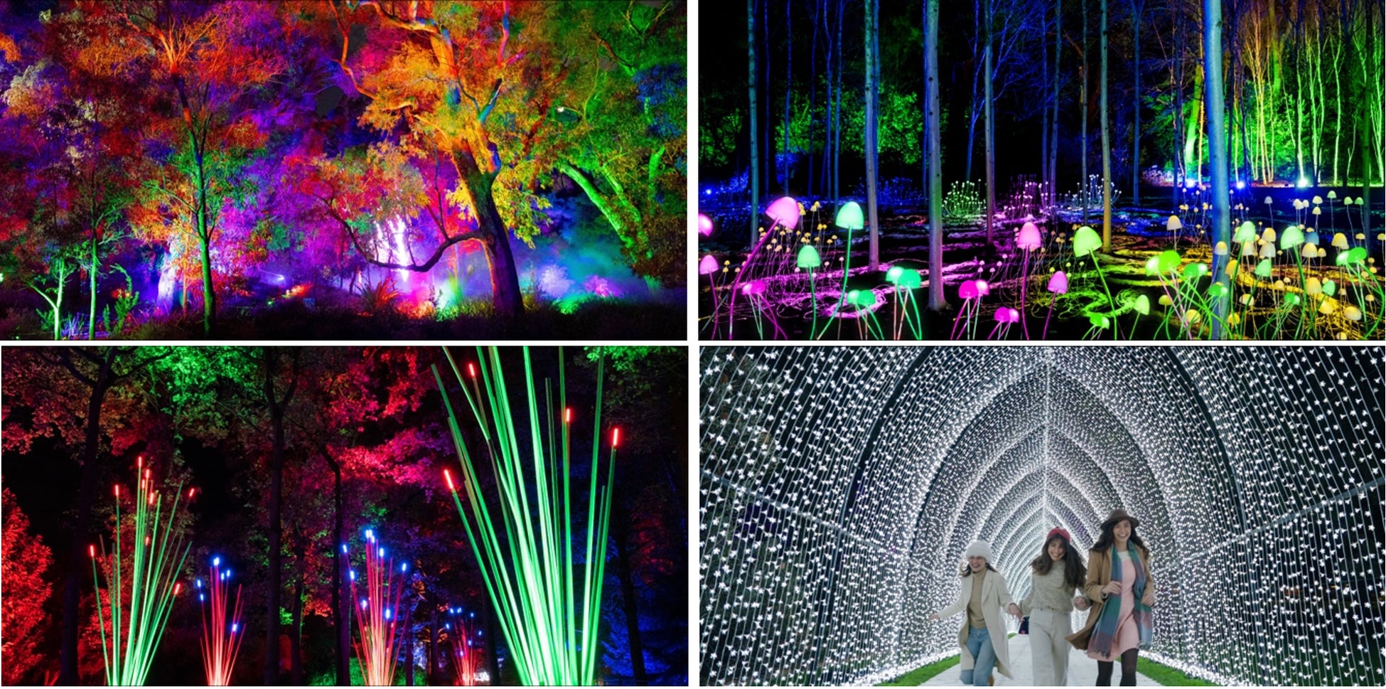 【西オーストラリア】州都「パース」の広大な都市公園「キングスパーク」を光のアートが彩る没入型イベント『ライトスケープ 2026』6月5日(金)から開催