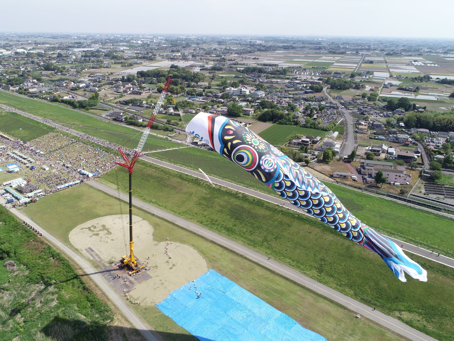 【加須市】「どうやって、空に揚げるの？」ジャンボこいのぼりが泳ぐまで！その全貌を収めた『空の裏側』を紹介します