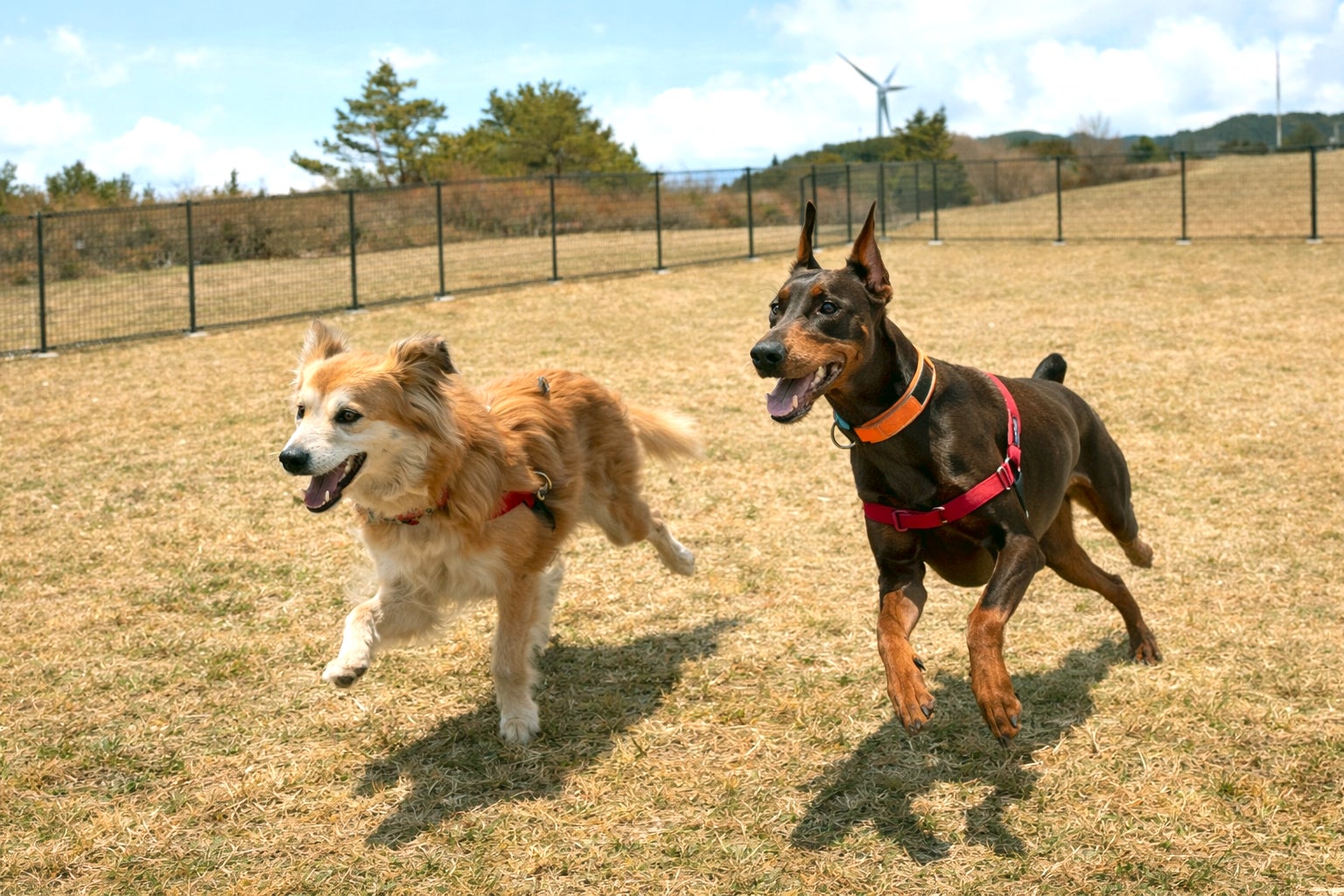 雑誌『LEON』と共創する一棟ヴィラ「UMITO 熱海 ザ・サロン」、4月24日より販売開始