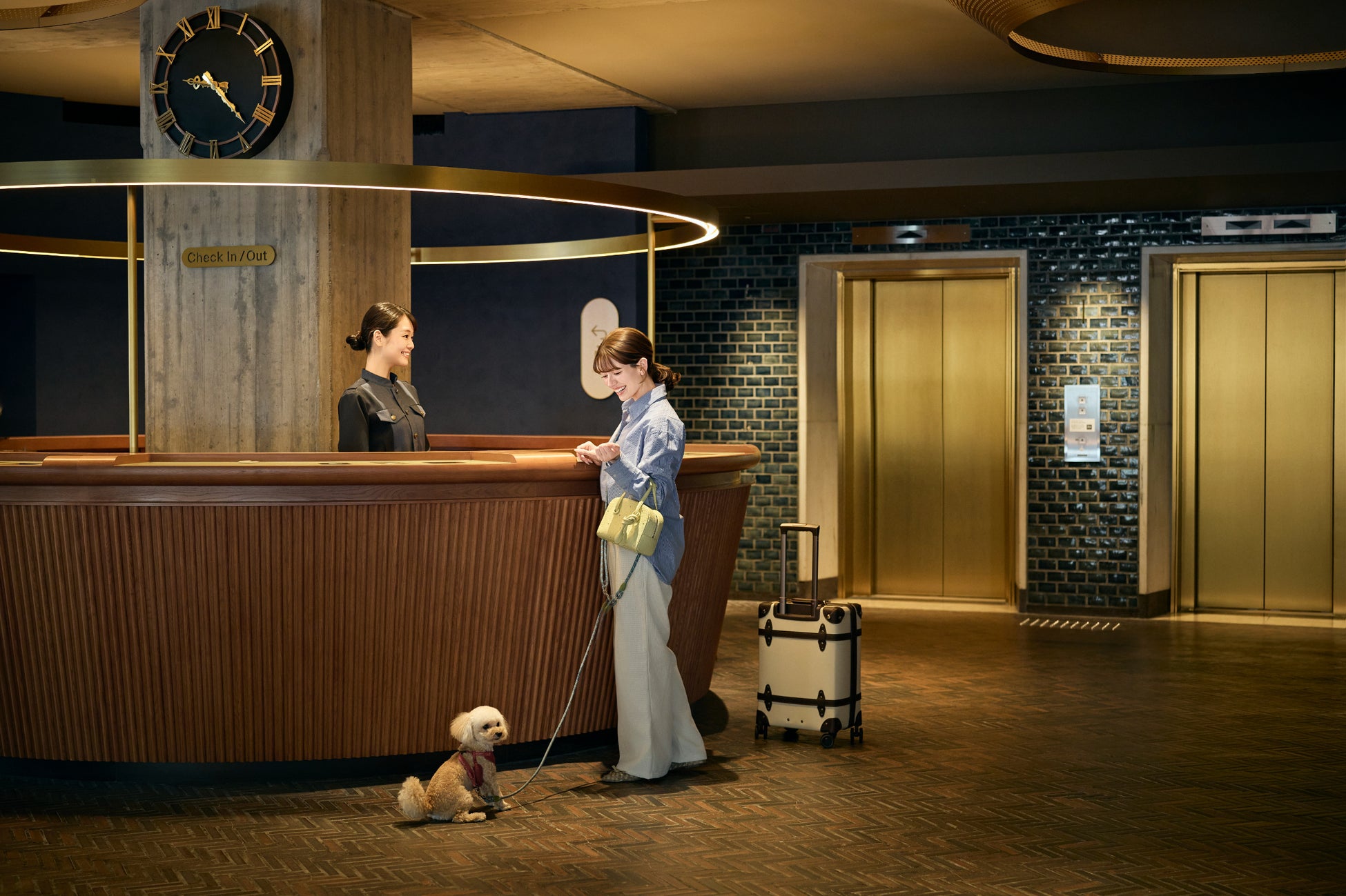 【OMO7横浜】星野リゾート最大の全32室の客室と愛犬専用フロアが誕生。大型犬との滞在や3世代旅行にも対応する快適な「愛犬との都市旅」を提案