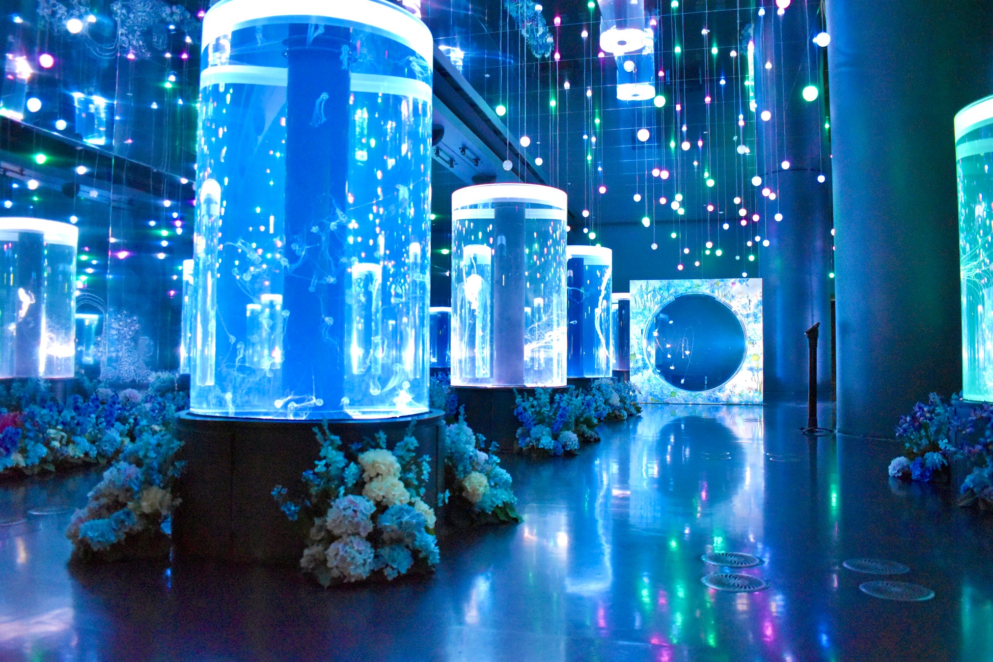 【マクセル アクアパーク品川】気温が高まる季節に、初夏の花々が涼やかに彩るイベントを開催！花のプロフェッショナルと贈る、生きものを新たな視点で楽しめる展示『日比谷花壇 コラボレーション』