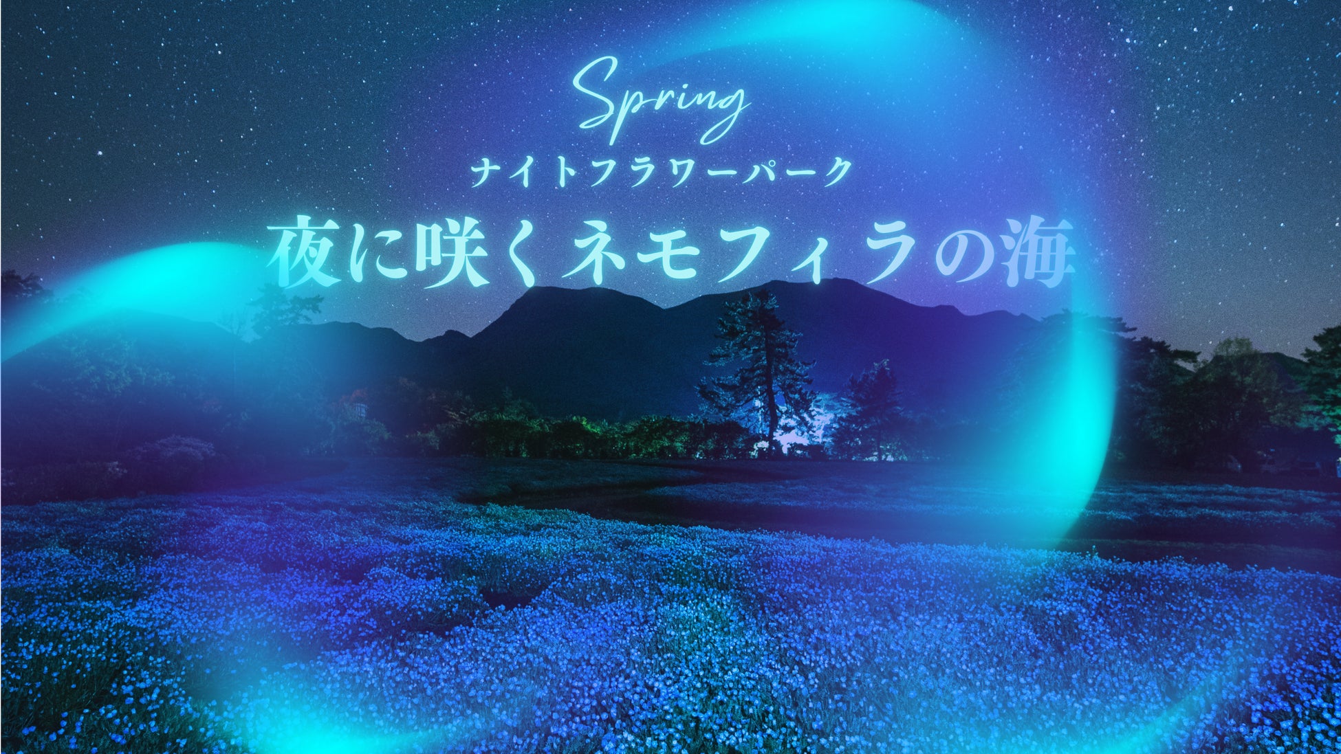 【大分・くじゅう花公園】初開催！GWの夜を彩る幻想的な絶景「ナイトフラワーパーク Spring～夜に咲くネモフィラの海～」を5月2日より限定開催