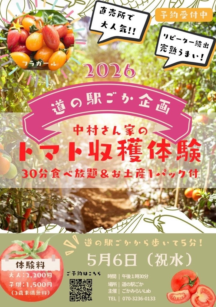 【茨城県五霞町】大人気のトマト収穫体験がふるさと納税の返礼品に！