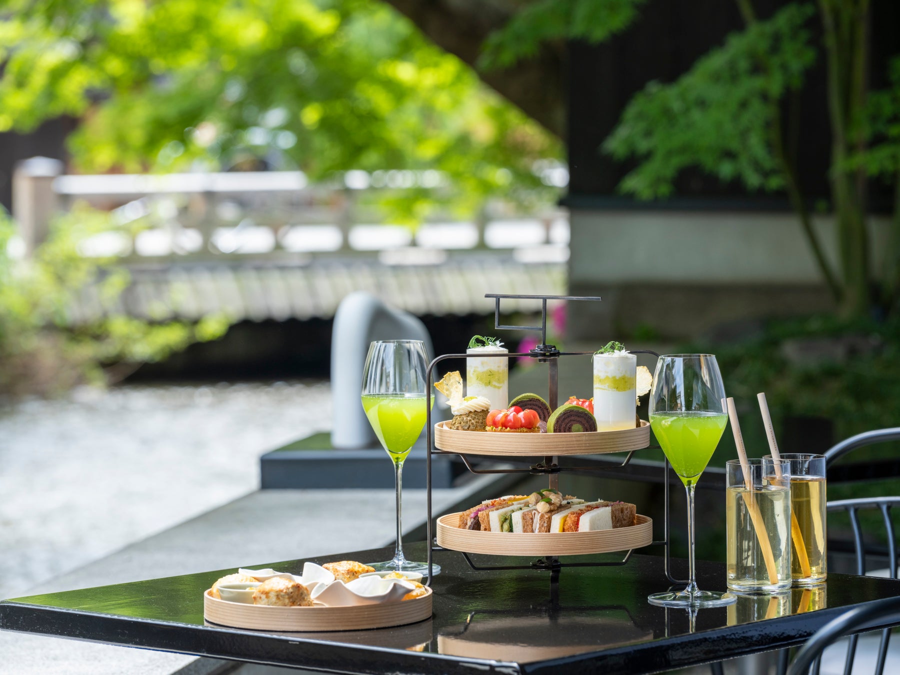 【広島もとまち水族館】ゴールデンウィーク企画「マリンフラワーフェスティバル」色鮮やかなイソギンチャクたちの競演