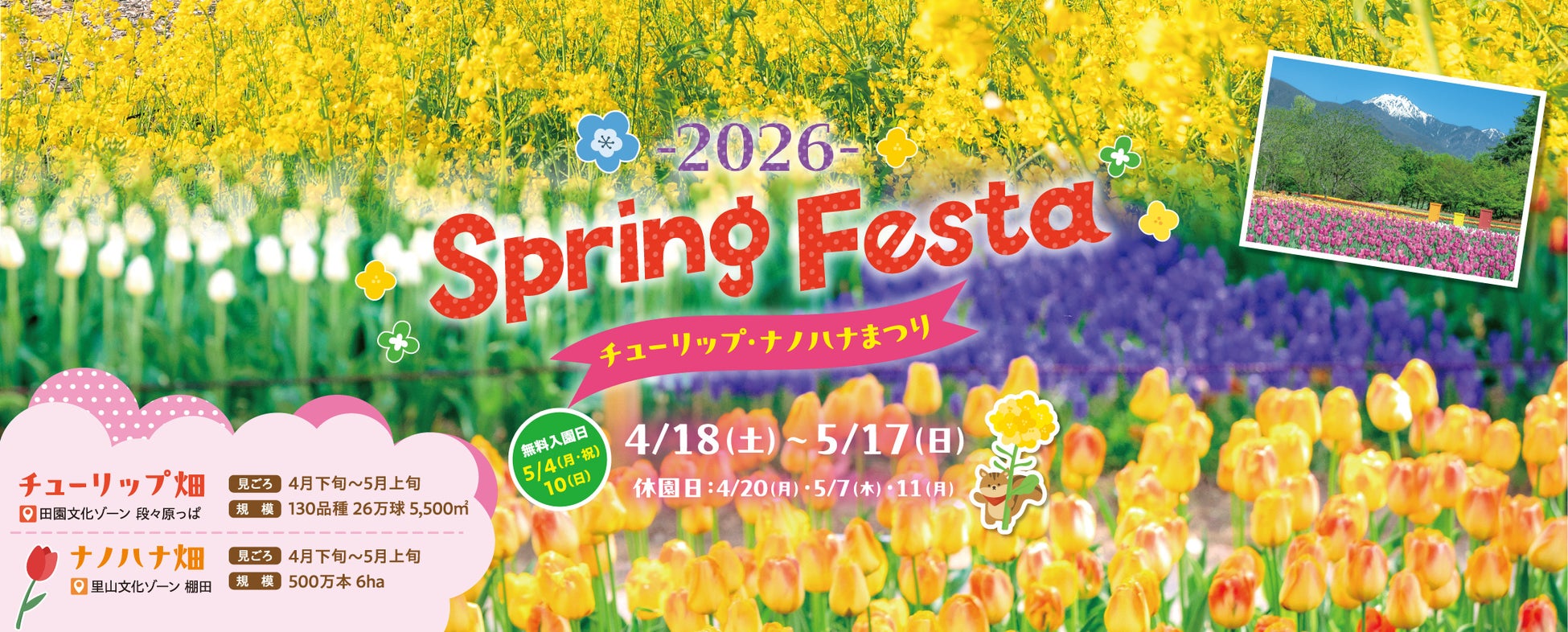 「SPRING FESTA 2026～チューリップ・ナノハナまつり～ 」 【国営アルプスあづみの公園　堀金・穂高地区】