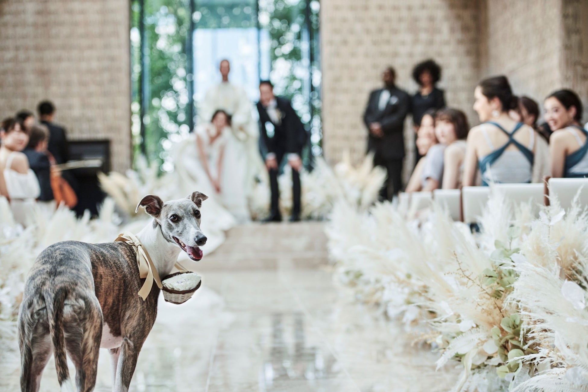 「第43回大盆栽まつり」と連動した魅力あふれるイベントを開催します(5/3～5/5)