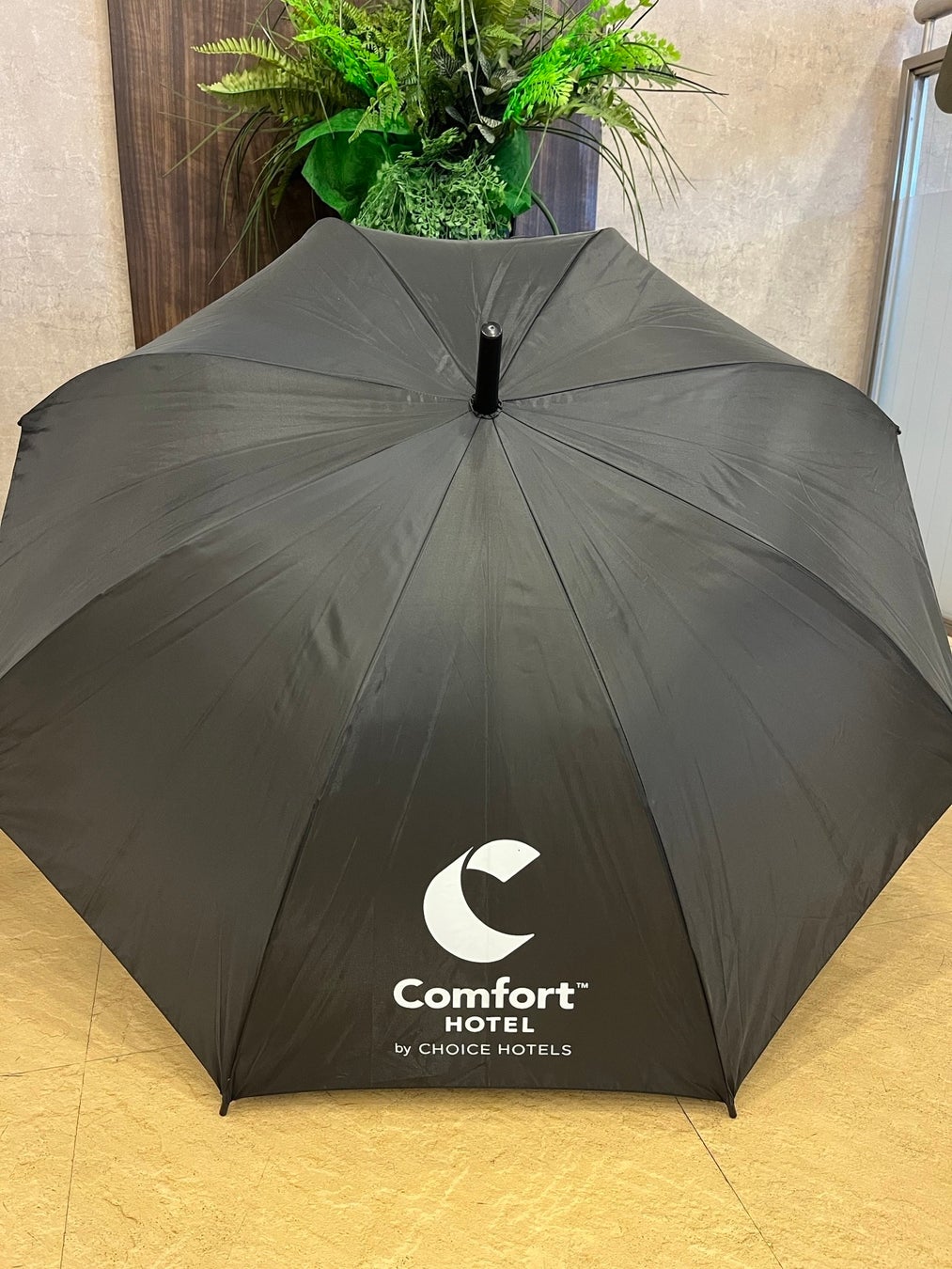 【九州エリア5ホテル】「ロゴ入りサステナ長傘」を導入